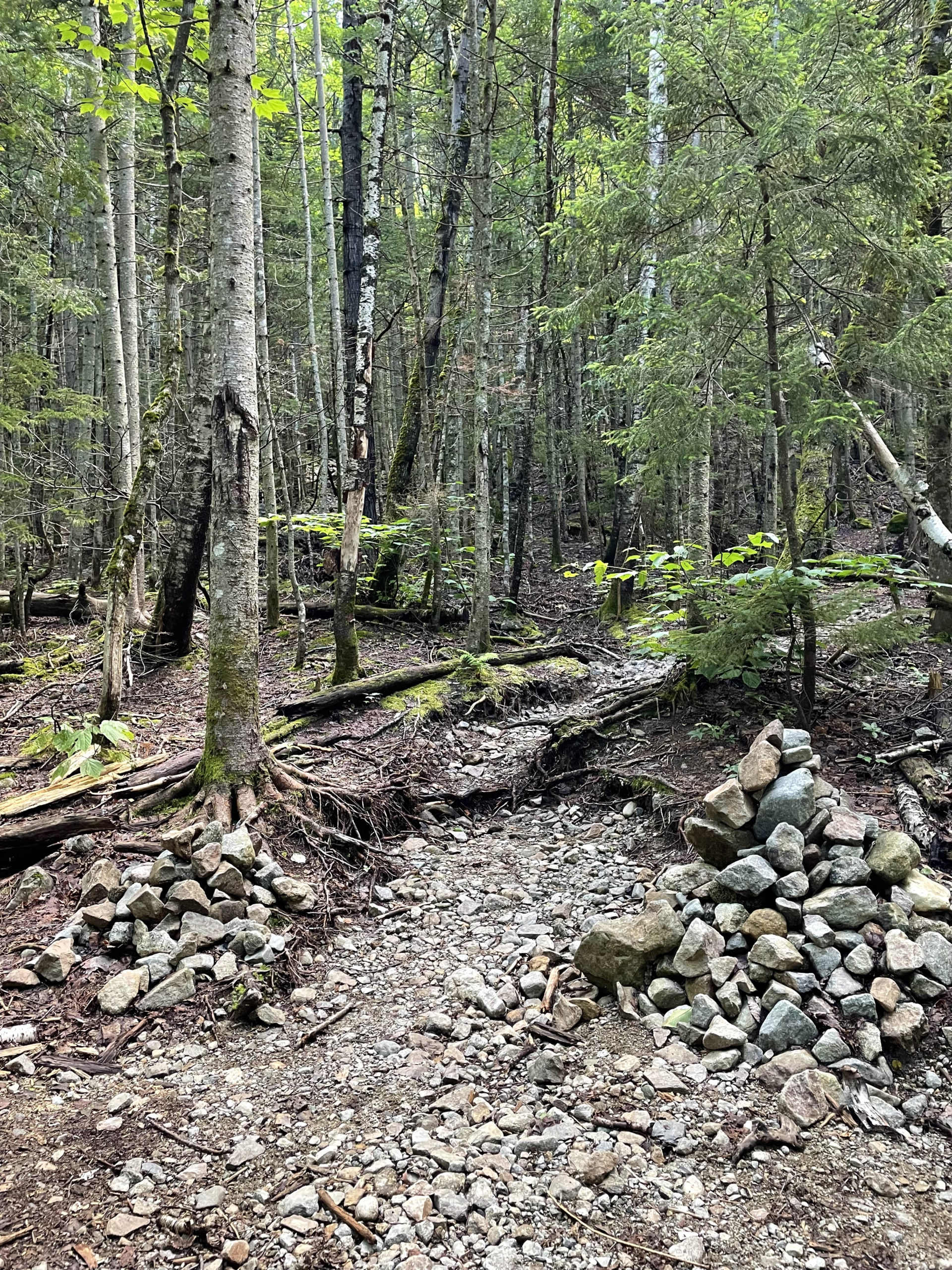 Entrance to Owl's Head Path, seen while hiking Owl's Head Mtn in the White Mountain National Forest, New Hampshire