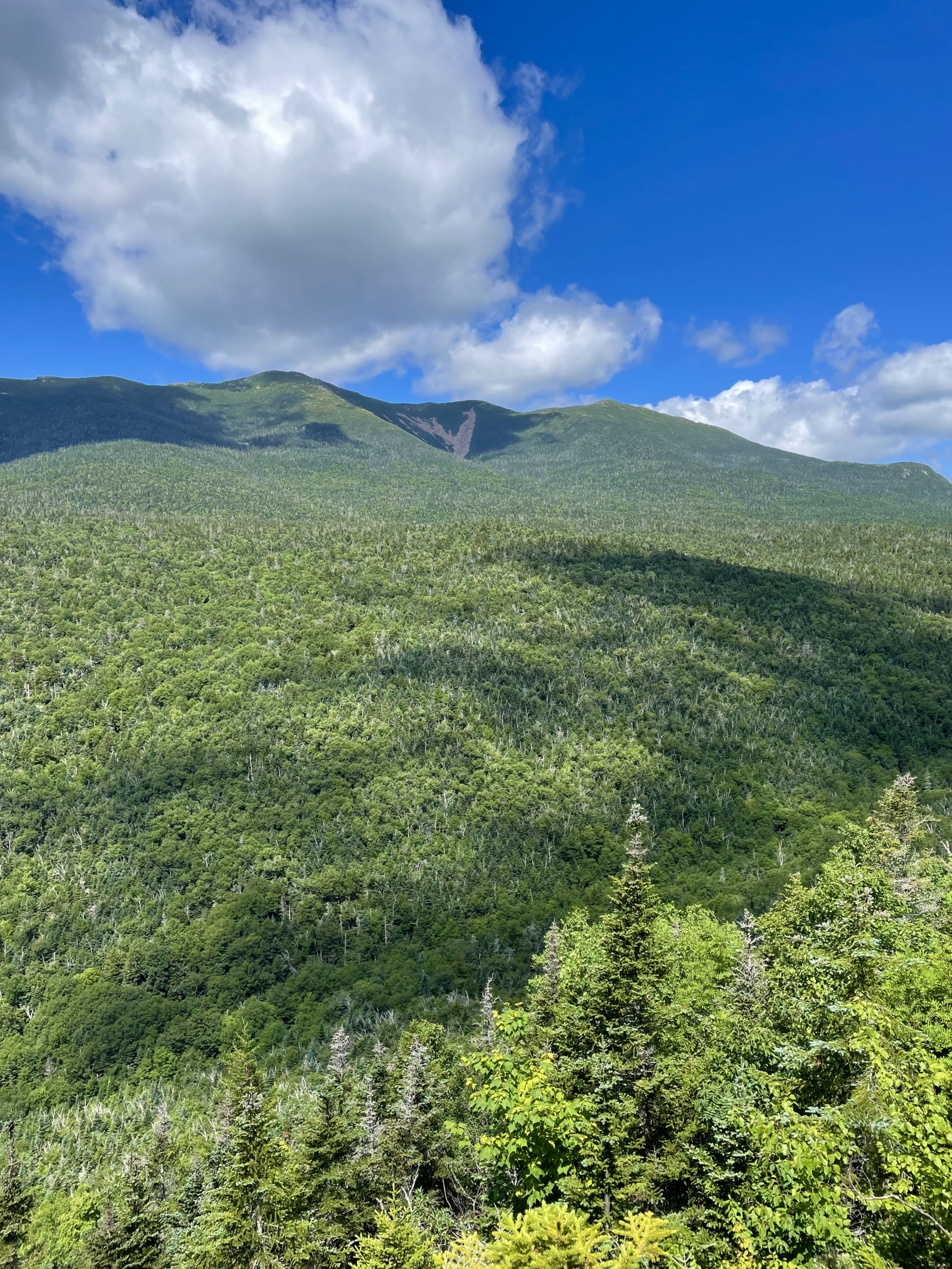 Franconia Ridge from Owl's Head Path, seen while hiking Owl's Head Mtn in the White Mountain National Forest, New Hampshire