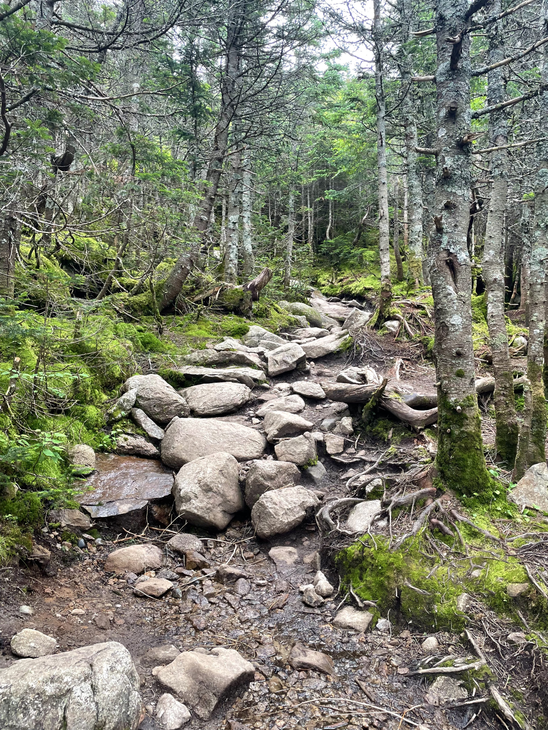 Rocky footing, seen while hike Mt. Lafayette and Mt. Lincoln in the White Mountain National Forest