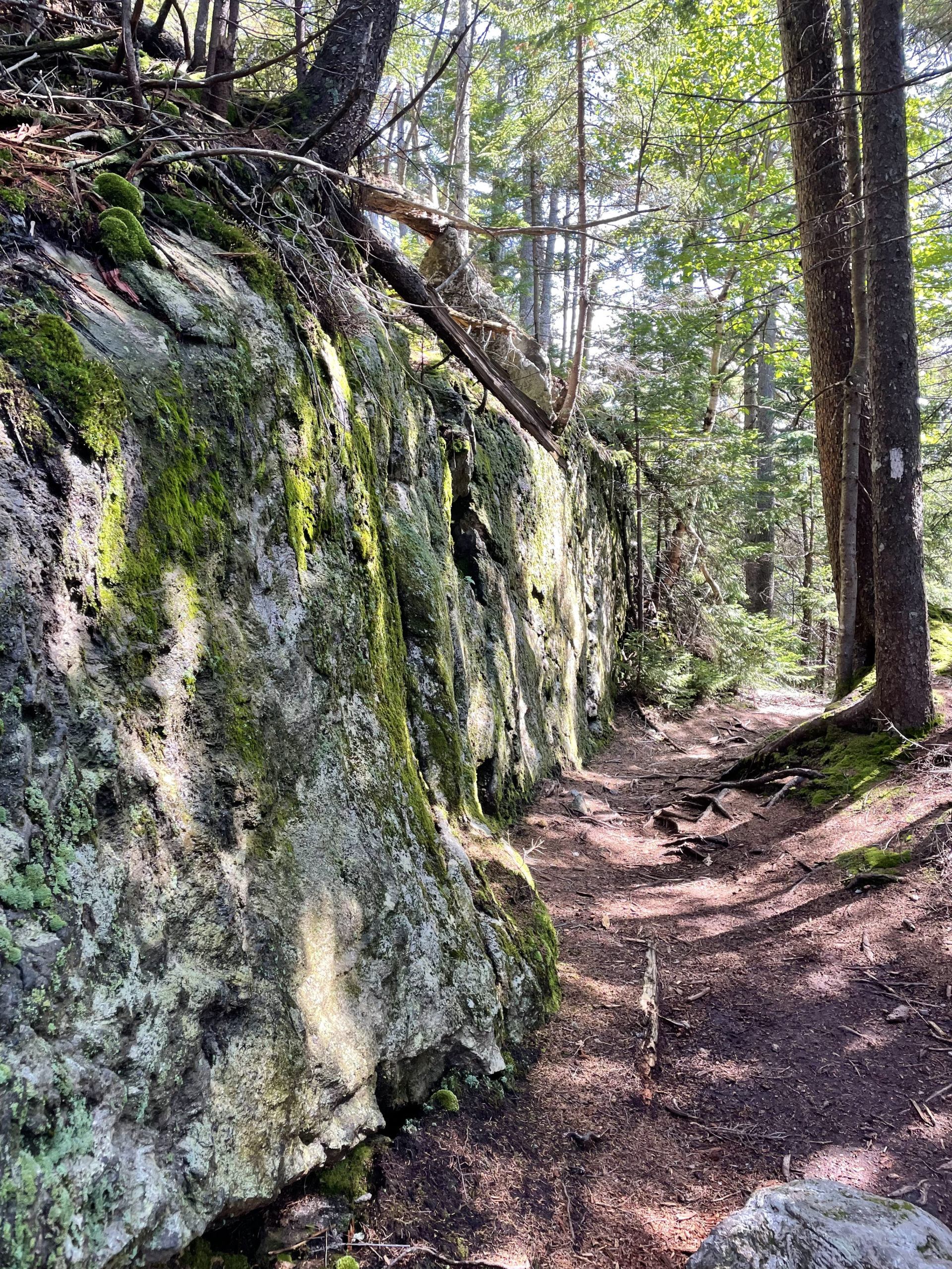 Boulder-sided trail, seen while hiking Bigelow Mountain in Western Maine