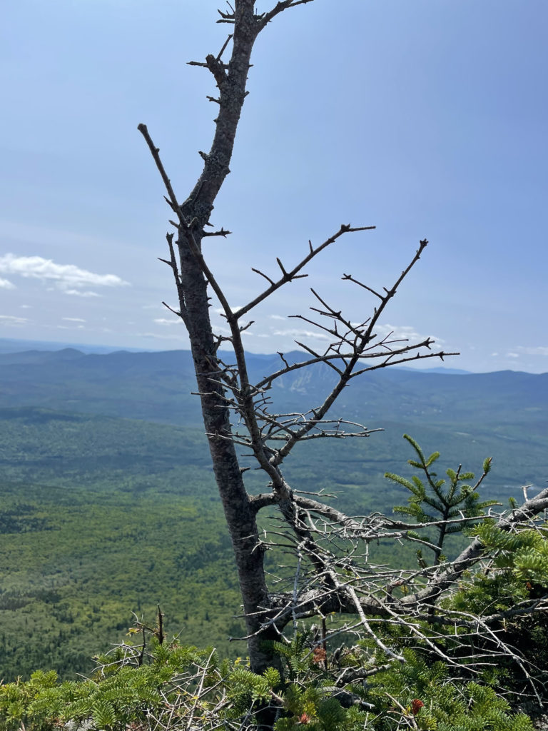 View from the summit, seen while hiking Bigelow Mountain in Western Maine