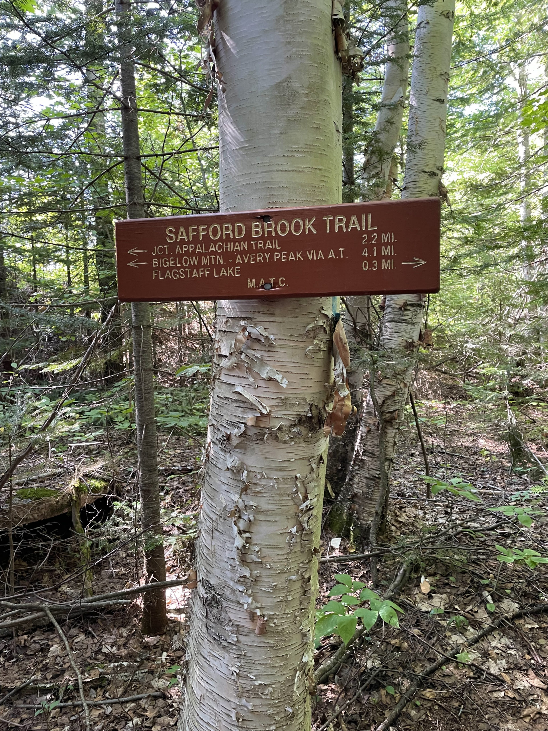Safford Brook Trail sign, seen while hiking Bigelow Mountain in Western Maine