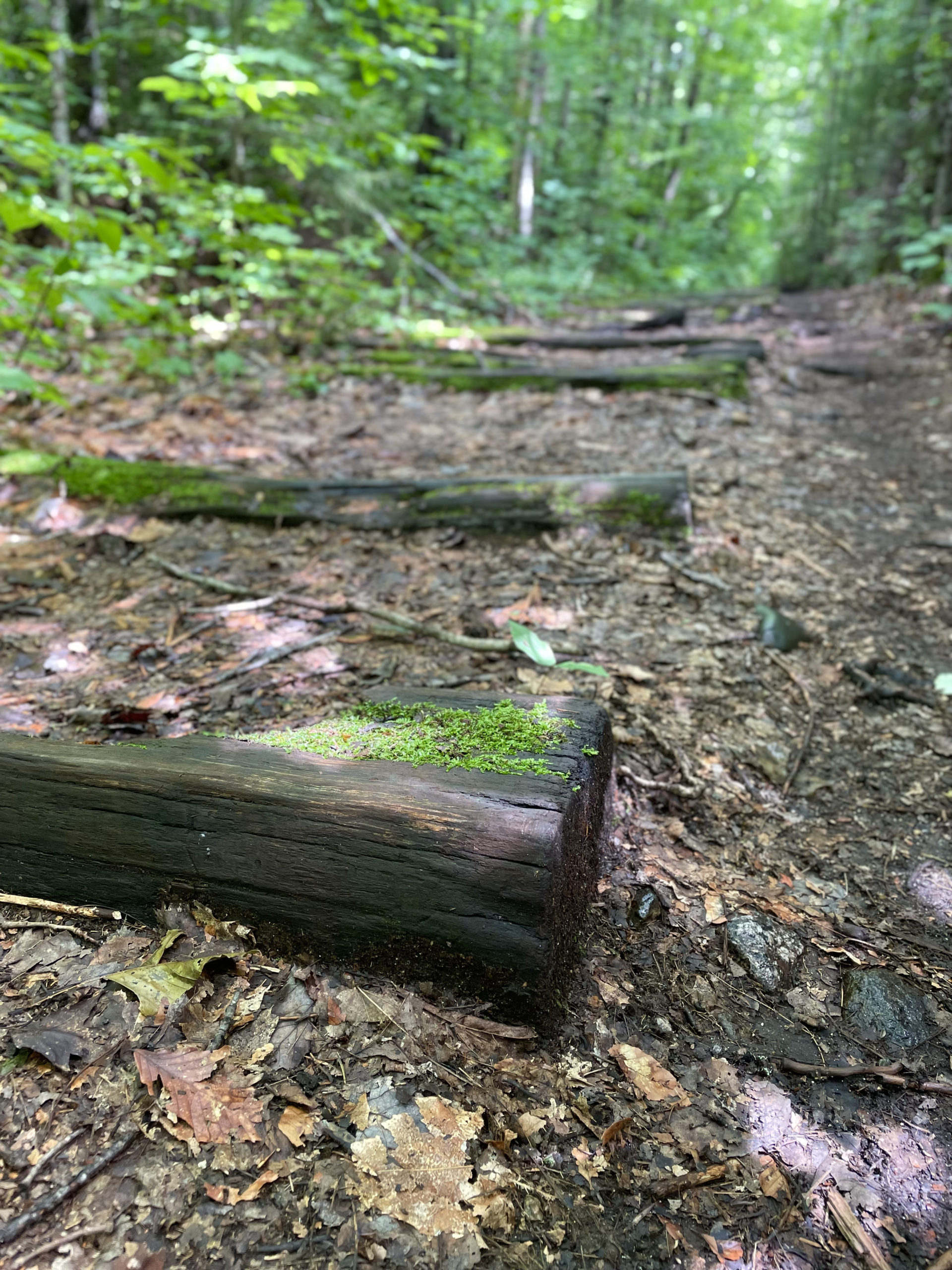 Old railroad ties, seen while hiking West Bond, Mt Bond, and Bondcliff in the White Mountains National Forest, New Hampshire