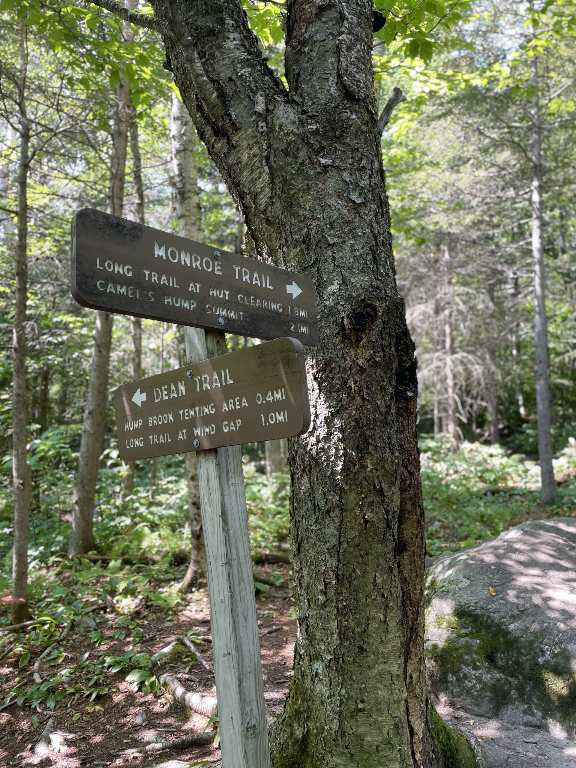 Monroe Trail sign, seen while hiking Camel's Hump in the Green Mountains, Vermont