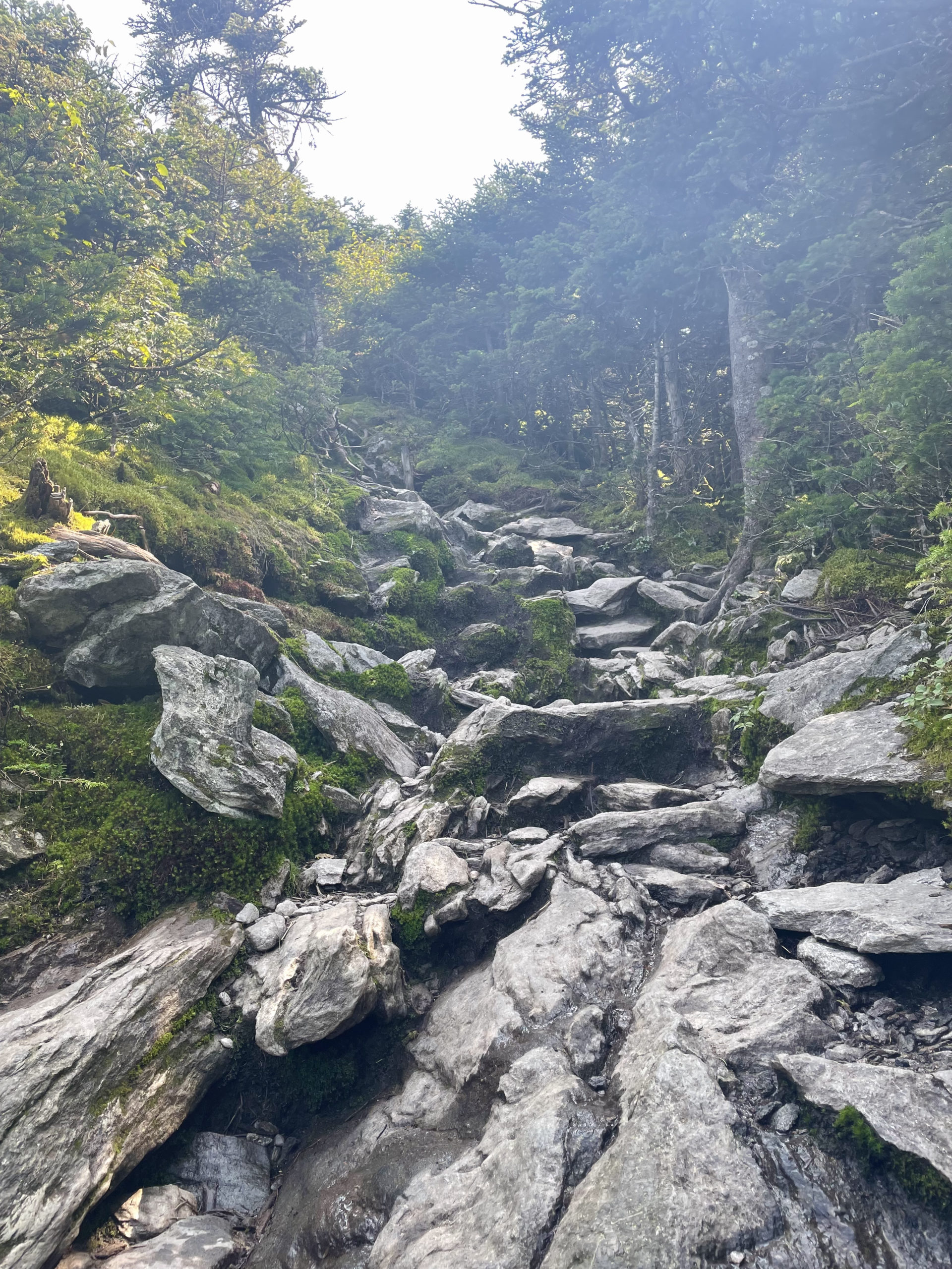 Rocky ascent, seen while hiking Camel's Hump in the Green Mountains, Vermont