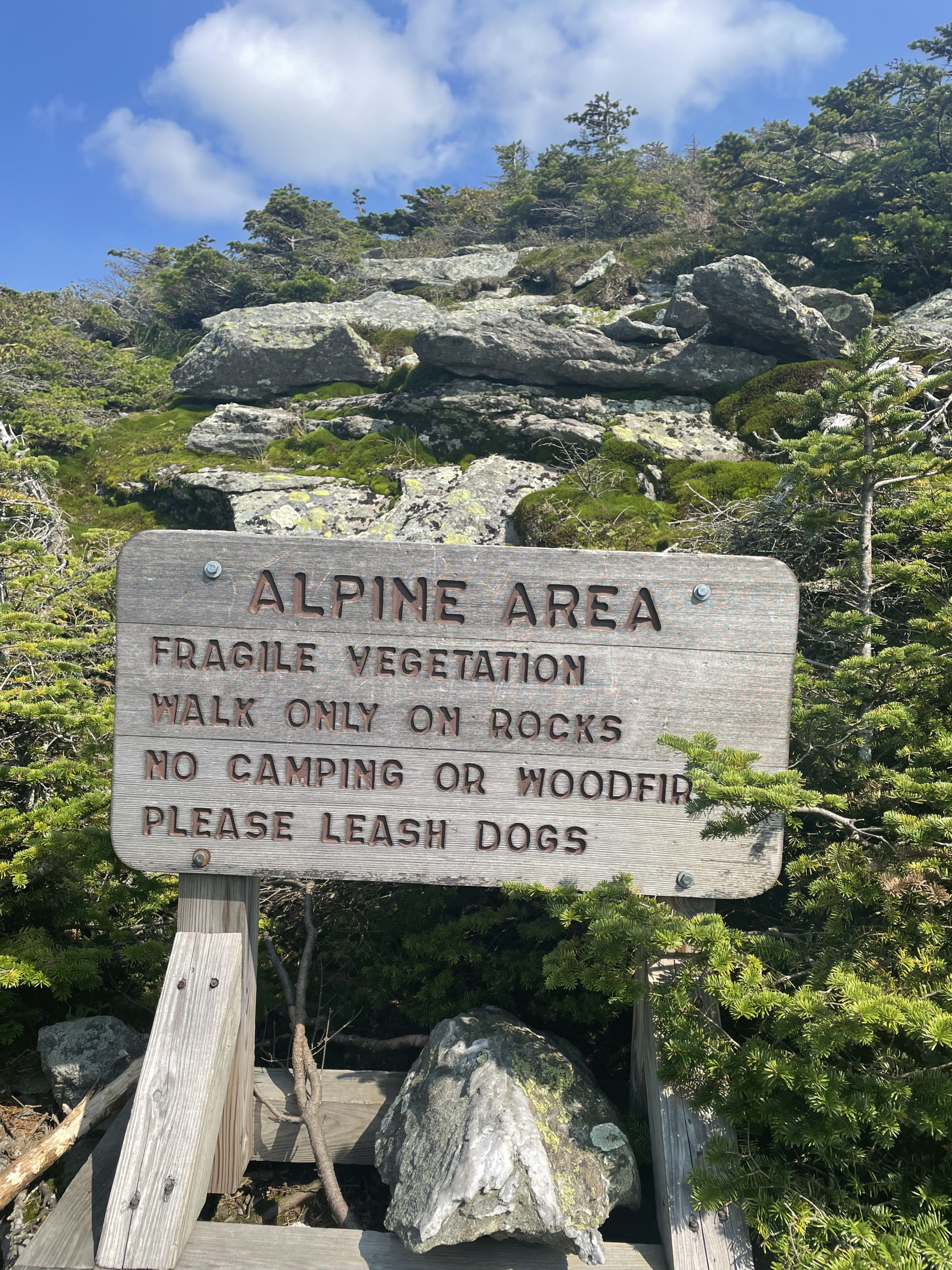 Alpine vegetation sign, seen while hiking Camel's Hump in the Green Mountains, Vermont