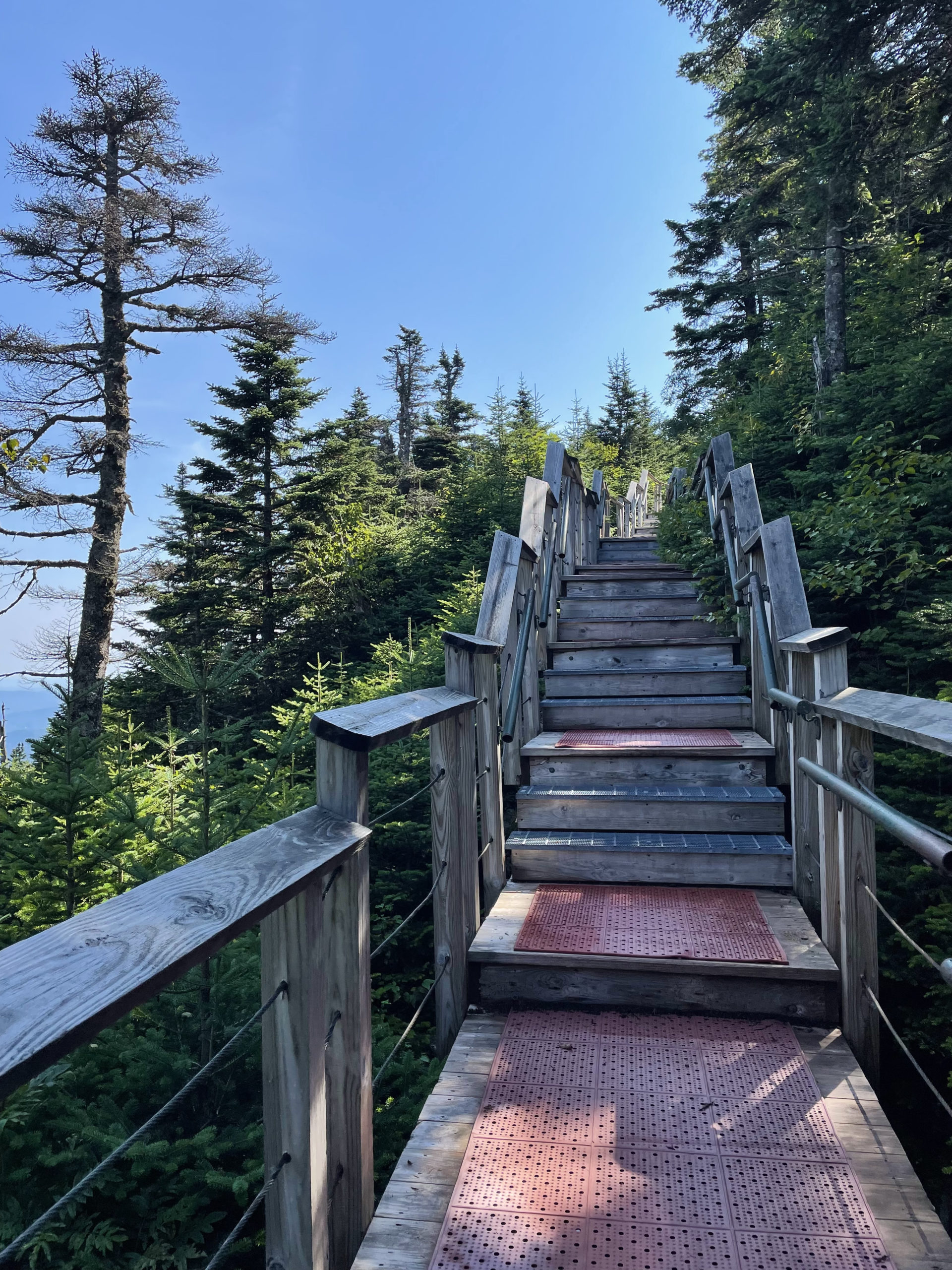 Stairs near the summit, seen while hiking Killington Peak in the Green Mountains, Vermont