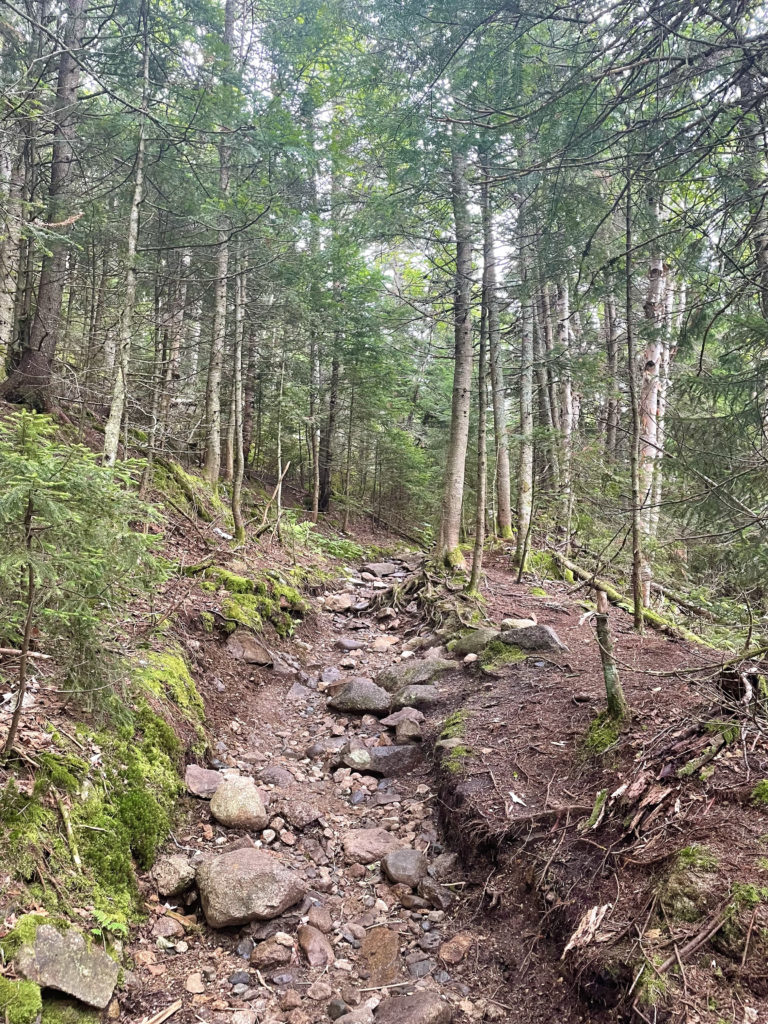 Eroded trail, seen while hiking Mt. Garfield in the White Mountain National Forest, NH