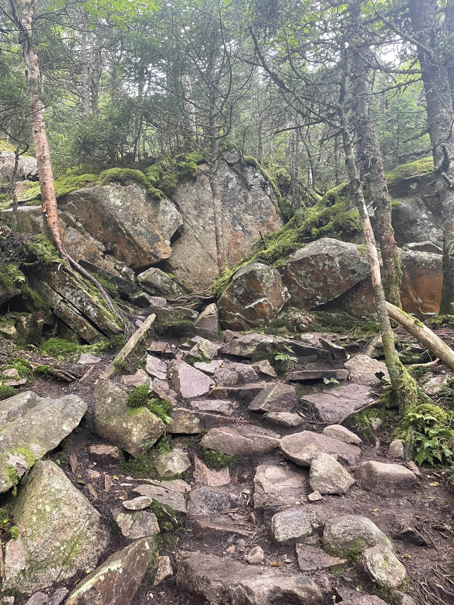 Rocky trail, seen while hiking Mt. Garfield in the White Mountain National Forest, NH