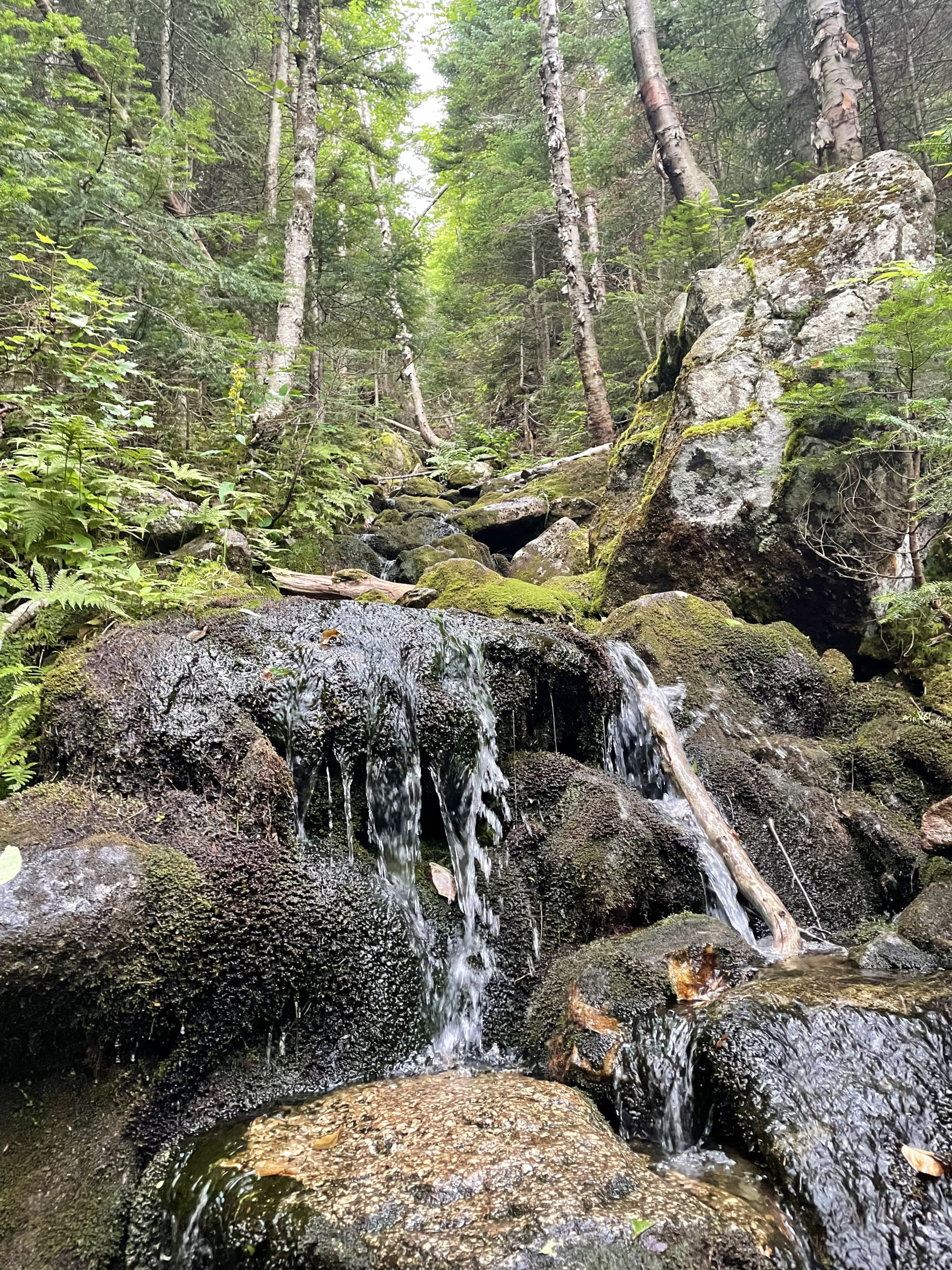 A small cascade, seen while hiking Mt. Hale and Mt. Zealand in the White Mountain National Forest, New Hampshire