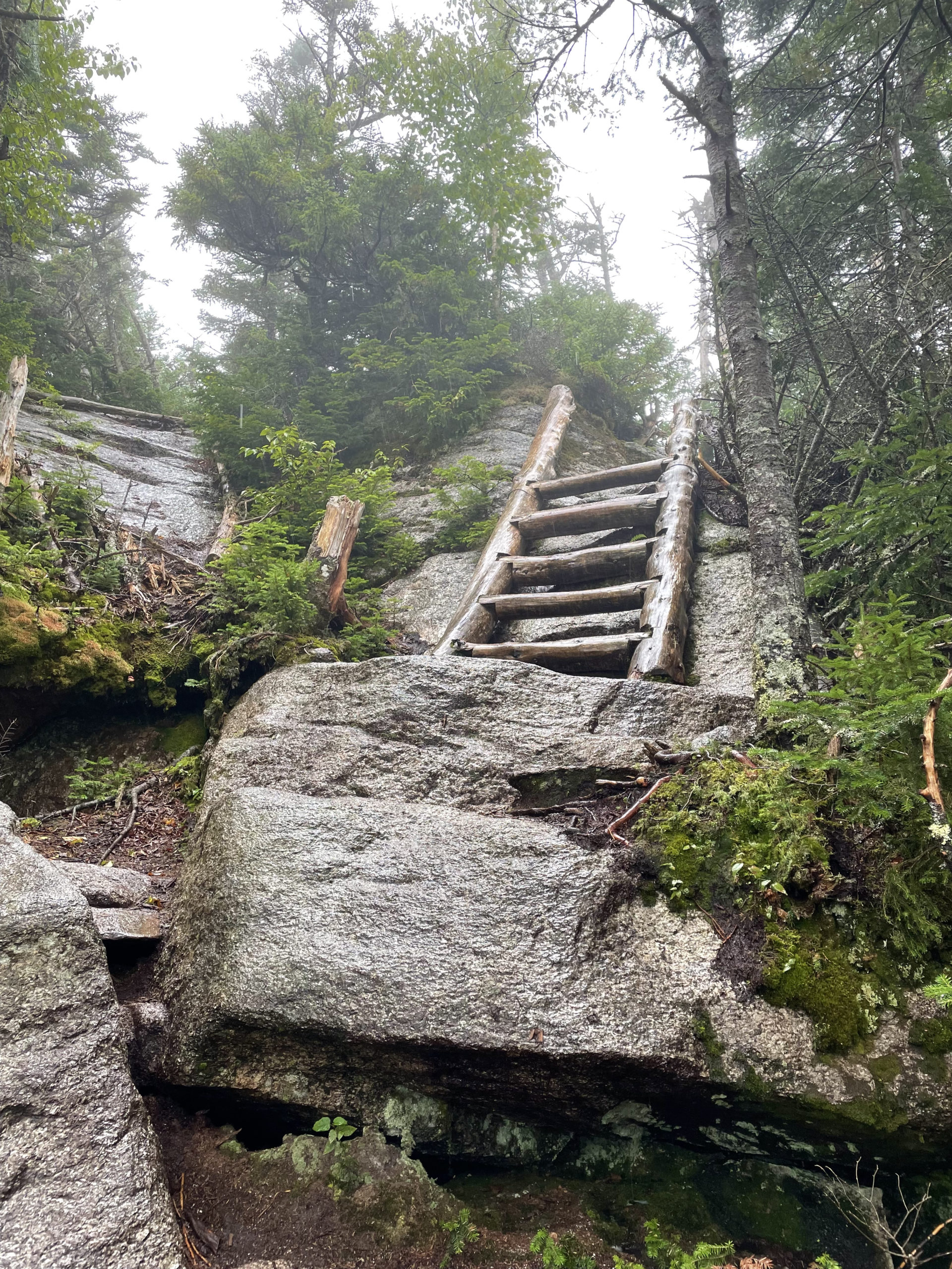 Log ladder, seen while hiking Mt. Hale and Mt. Zealand in the White Mountain National Forest, New Hampshire