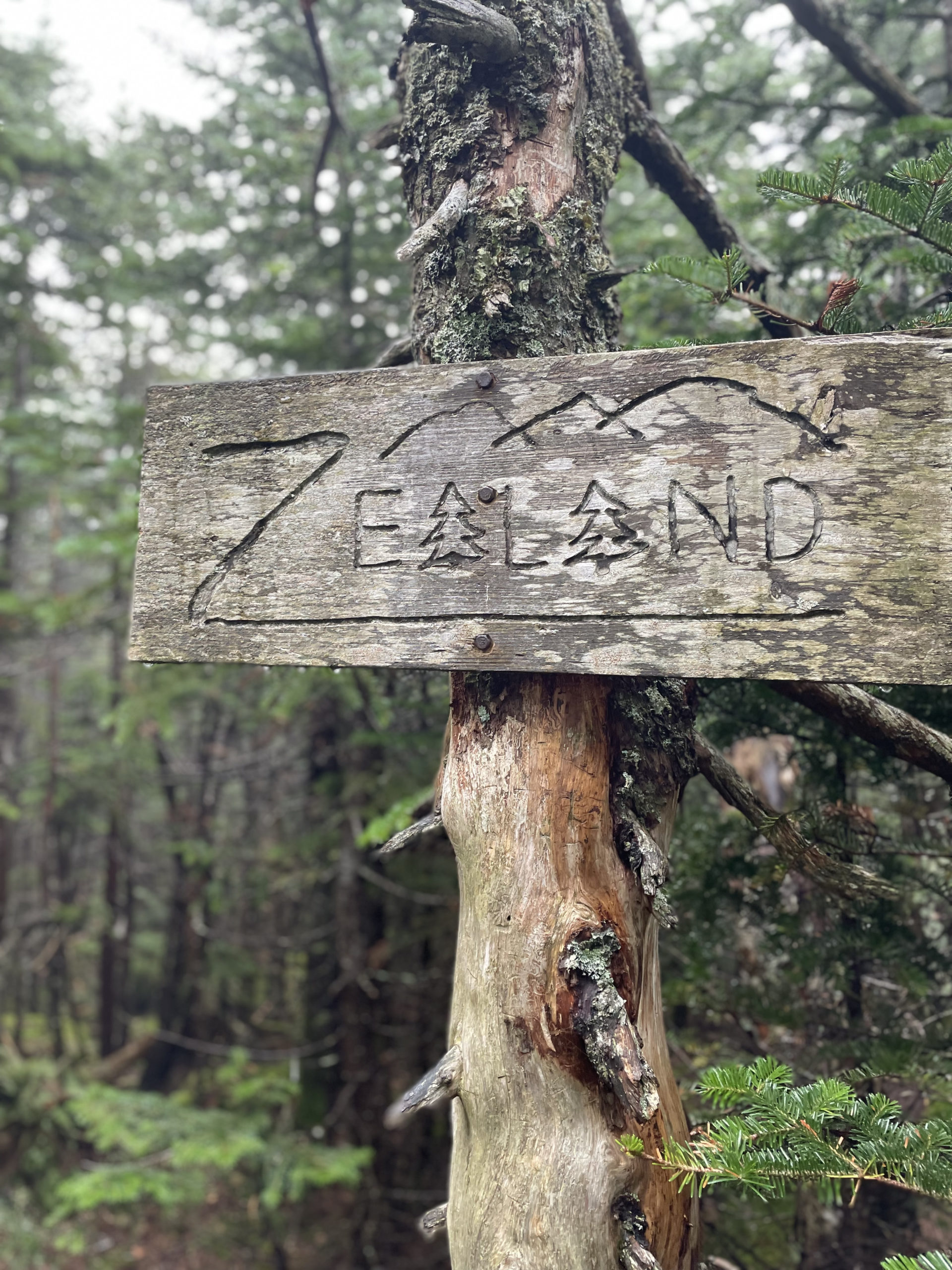 Zealand summit sign, seen while hiking Mt. Hale and Mt. Zealand in the White Mountain National Forest, New Hampshire