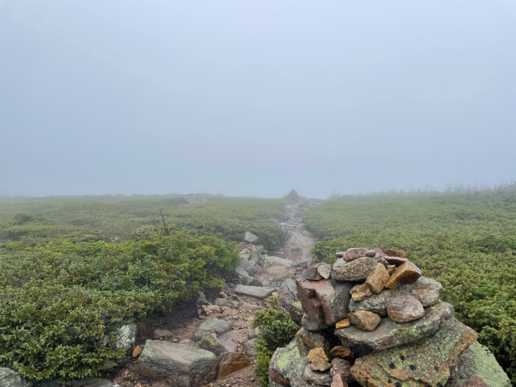Twinway to Mt. Guyot, seen while hiking Mt. Hale and Mt. Zealand in the White Mountain National Forest, New Hampshire