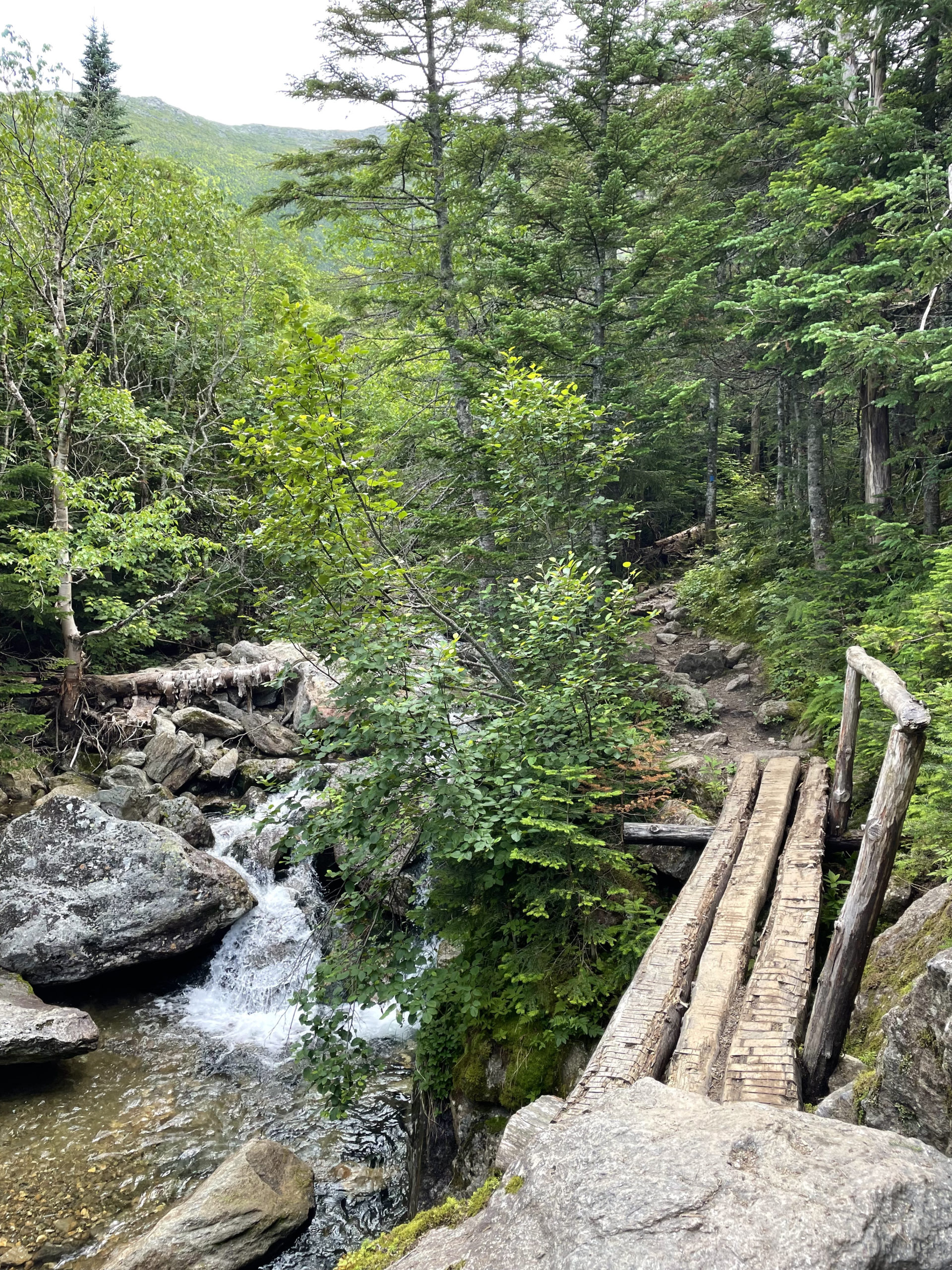 Bridge over the trail, seen while hiking Mt. Pierce and Mt. Jackson in the White Mountains National Forest, New Hampshire