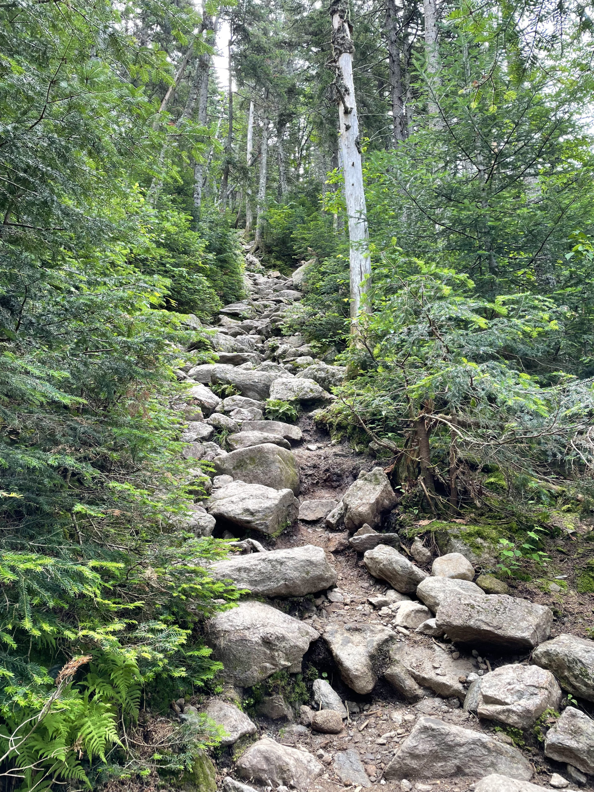 Rocky ascent, seen while hiking Mt. Pierce and Mt. Jackson in the White Mountains National Forest, New Hampshire