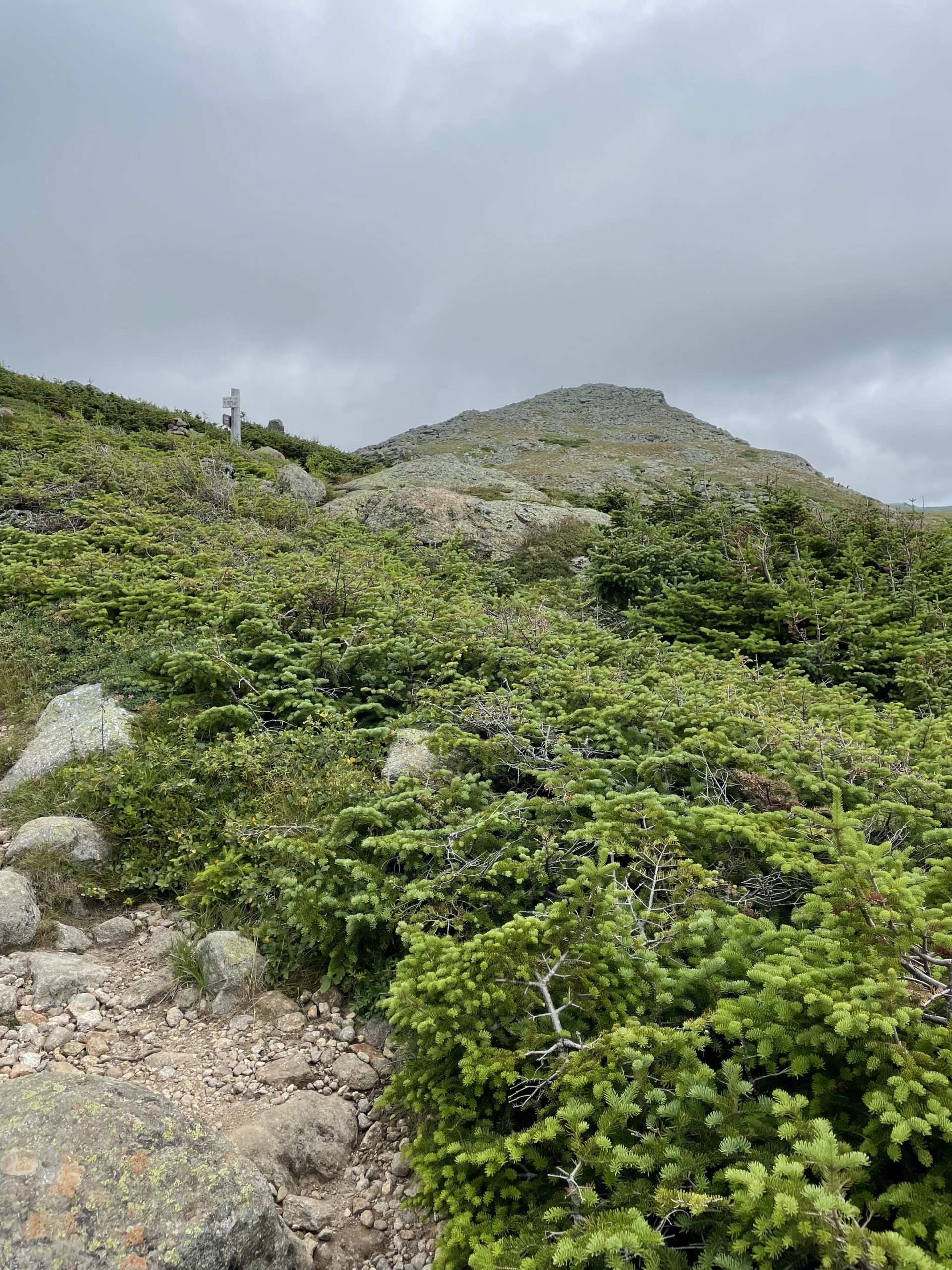 Crawford Path, seen while hiking Mt. Pierce and Mt. Jackson in the White Mountains National Forest, New Hampshire