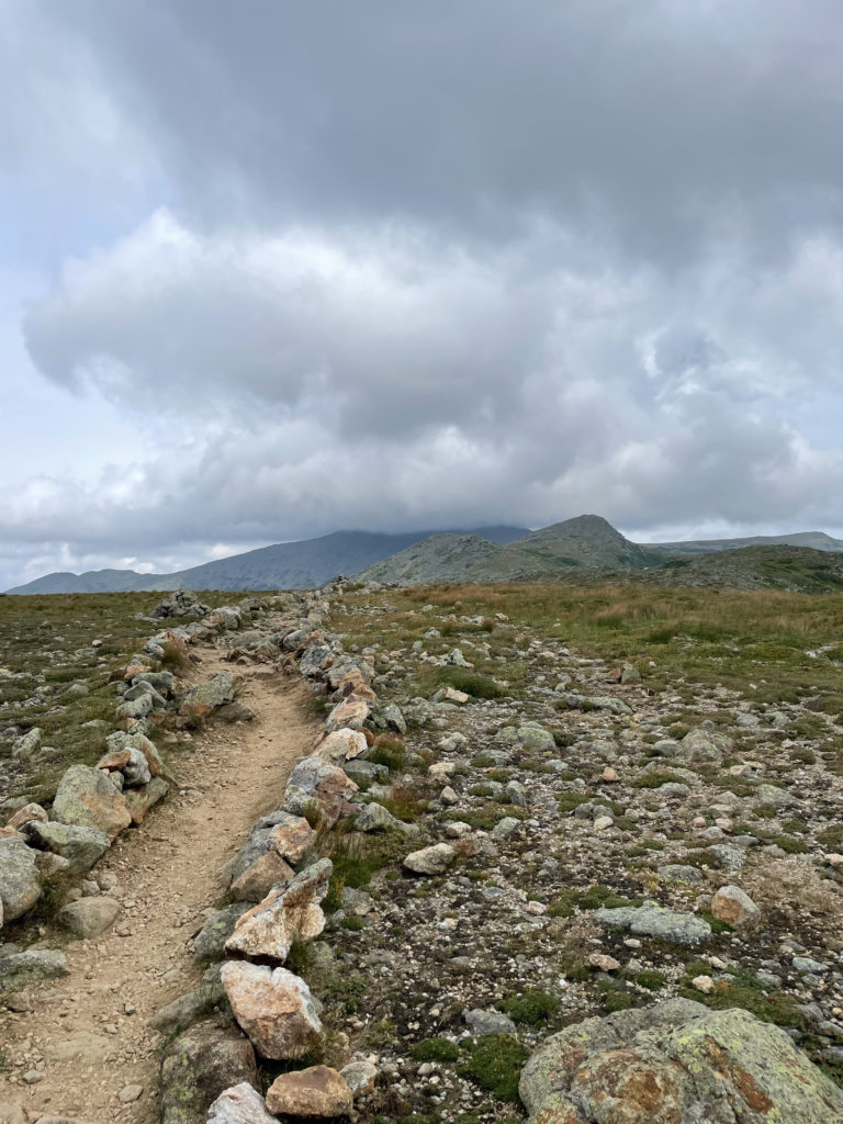 Crawford Path, seen while hiking Mt. Pierce and Mt. Jackson in the White Mountains National Forest, New Hampshire