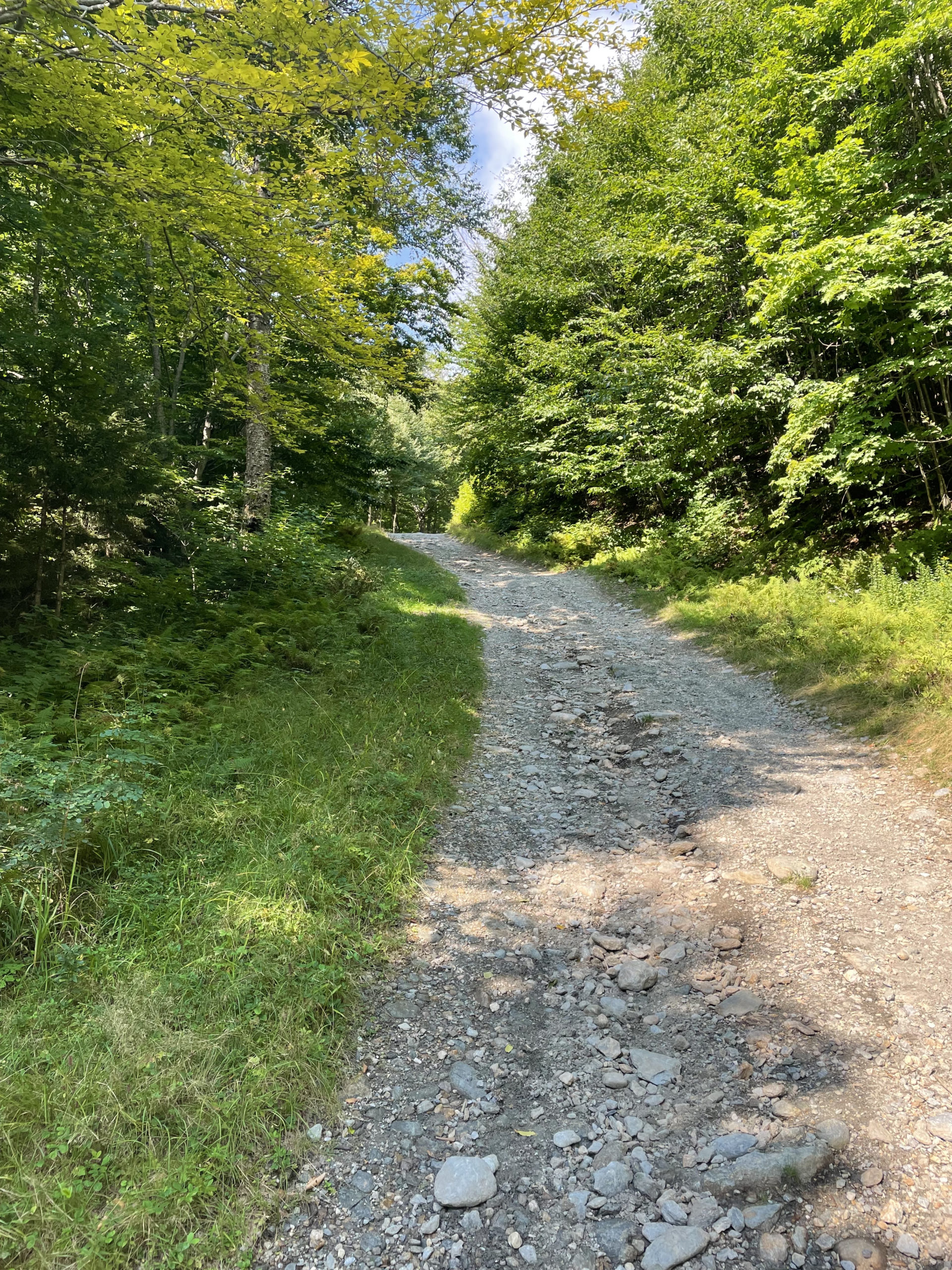 Gravel access road, seen while hiking Mt Ellen and Mt Abraham, Green Mountains, Vermont