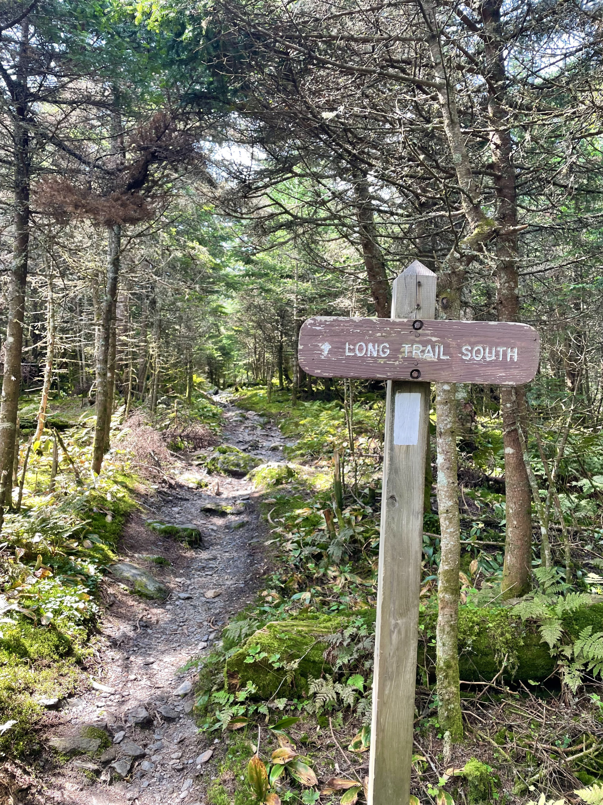 Long Trail sign, seen while hiking Mt Ellen and Mt Abraham, Green Mountains, Vermont