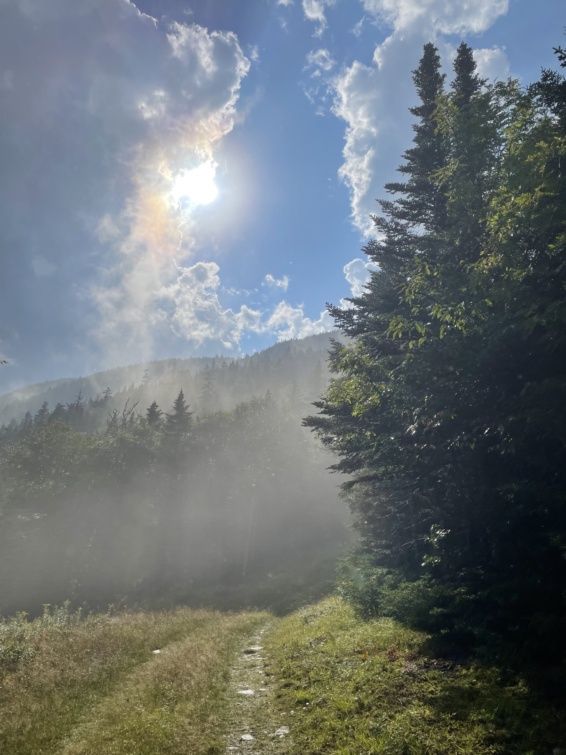 Sunny rain storm, seen while hiking Mt Ellen and Mt Abraham, Green Mountains, Vermont