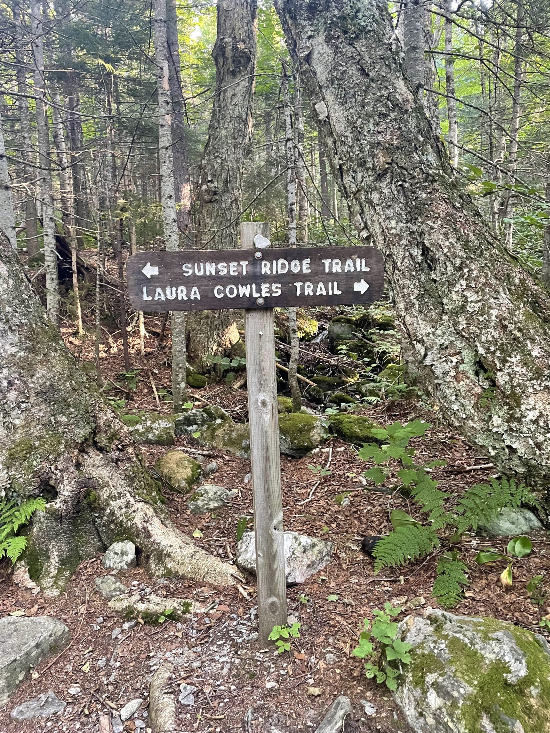 Trail sign, seen while hiking Mt. Mansfield in the Green Mountains, Vermont