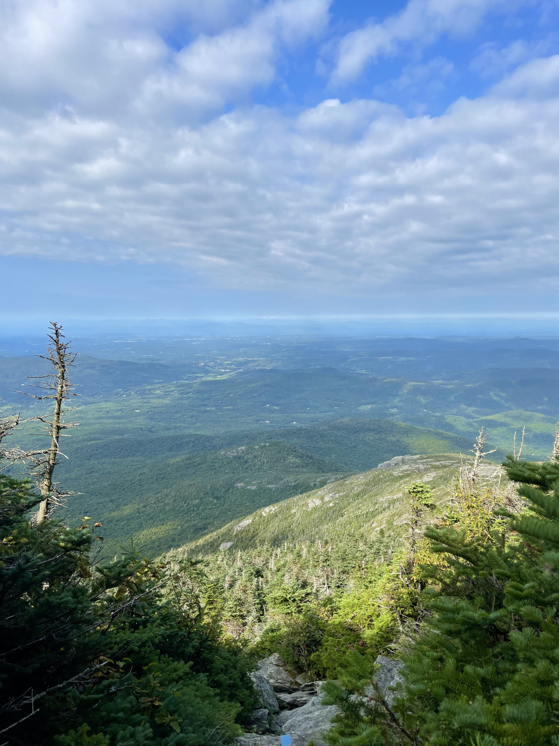 View from Laura Cowles trail, seen while hiking Mt. Mansfield in the Green Mountains, Vermont