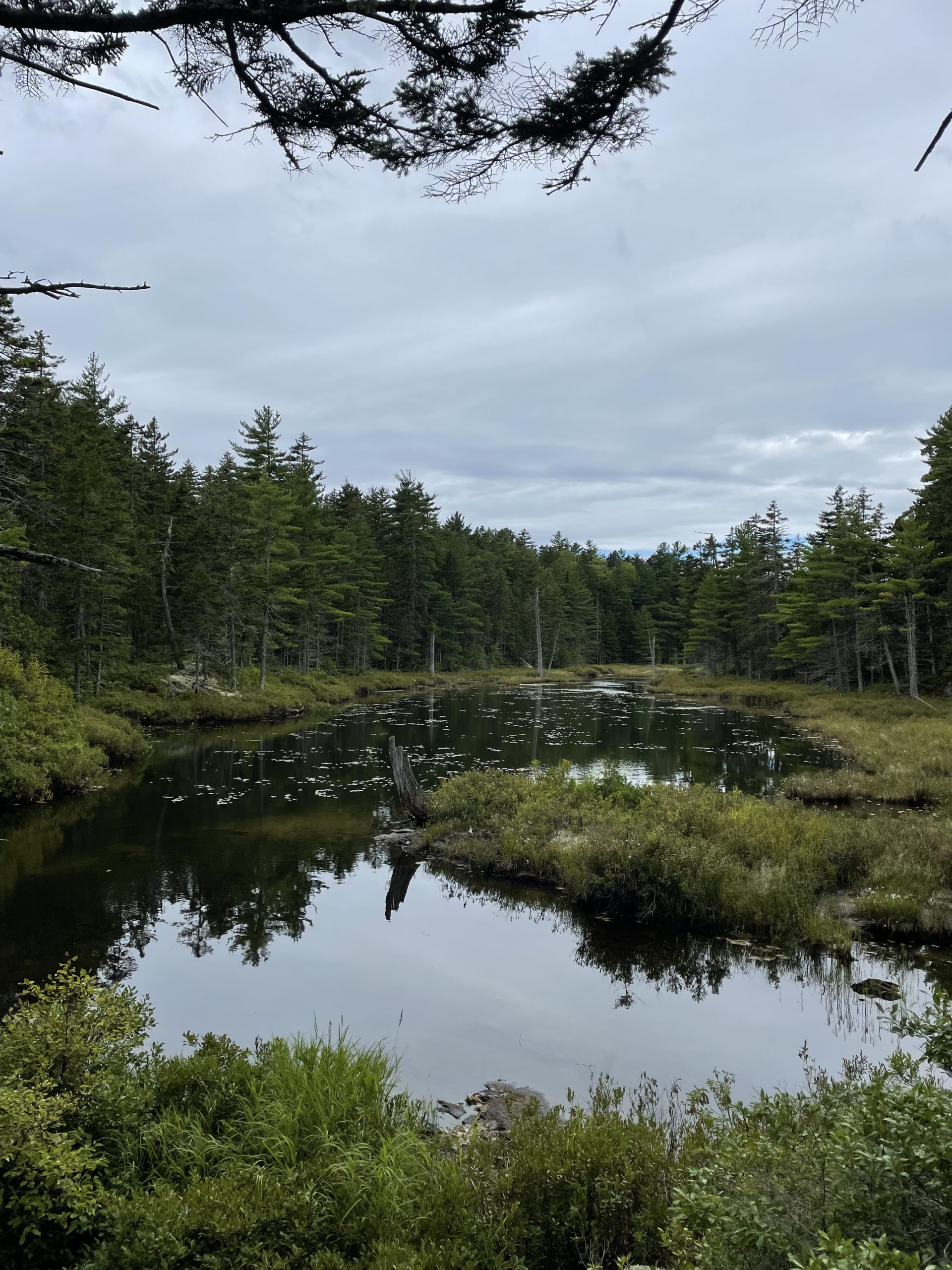 Small pond, day 1, 100 Mile Wilderness, Maine Appalachian Trail