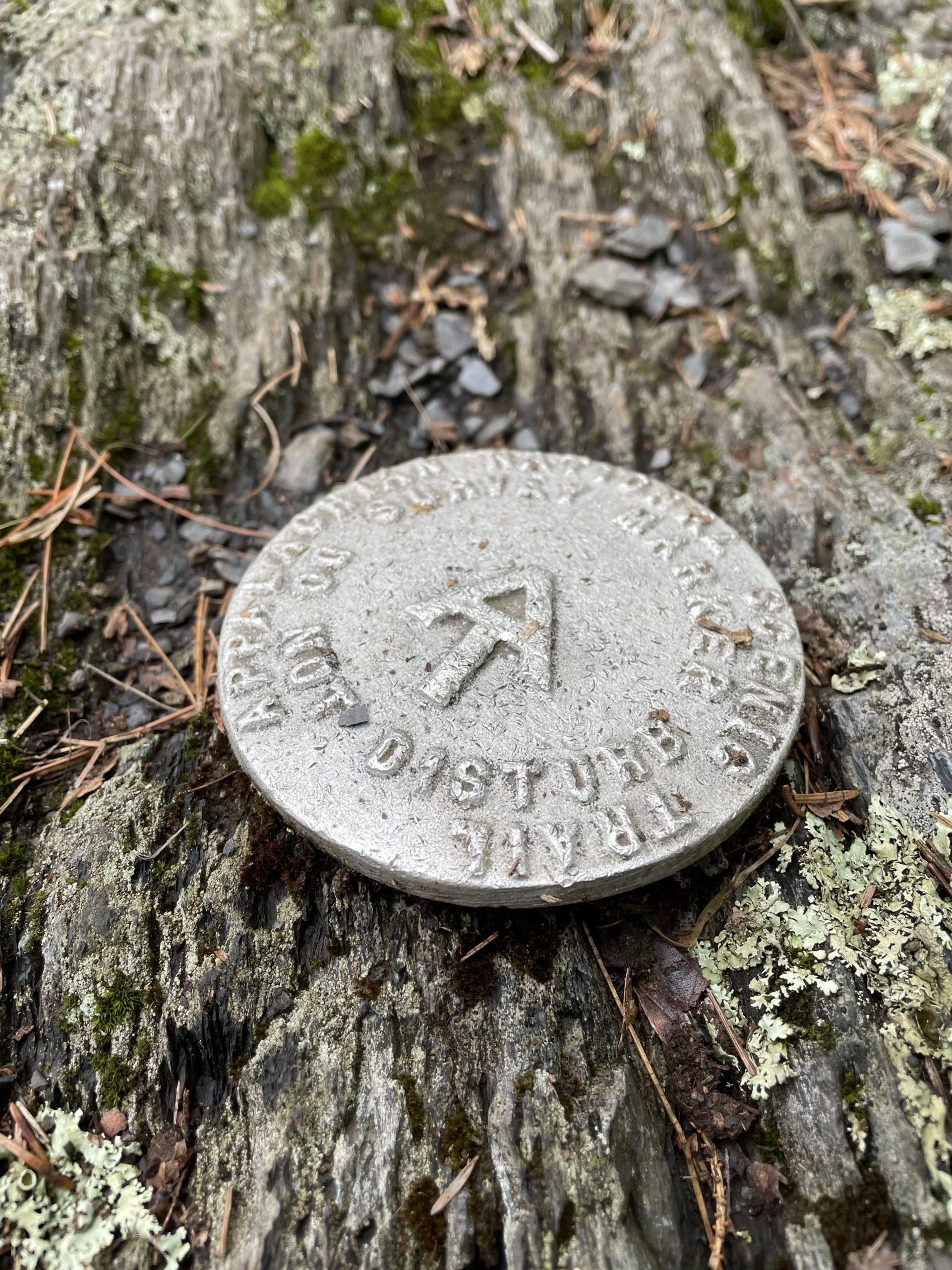 AT elevation marker, day 1, 100 Mile Wilderness, Maine Appalachian Trail