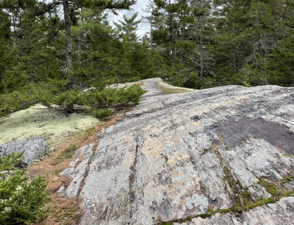 Exposed slate ledge, day 1, 100 Mile Wilderness, Maine Appalachian Trail