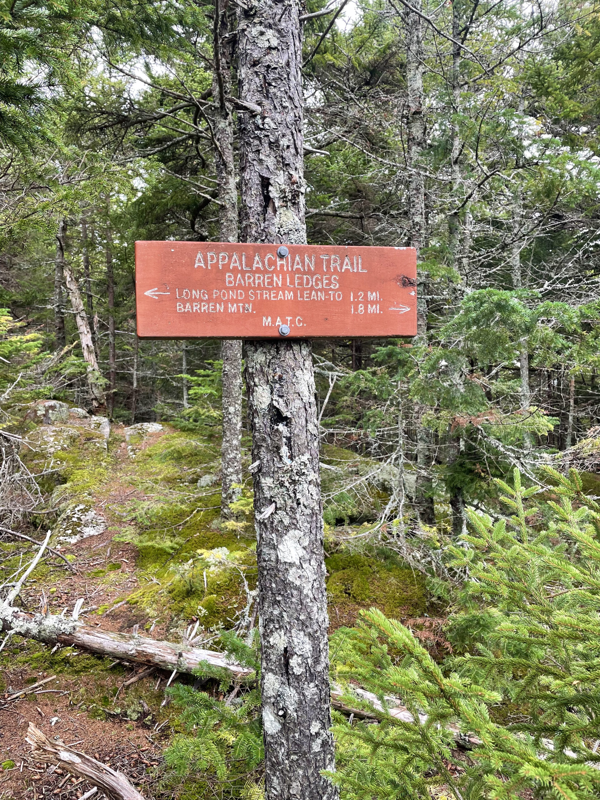 Barren ledges trail sign, day 2, 100 Mile Wilderness, Maine Appalachian Trail