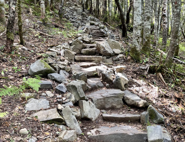 Stone steps made by MATC, day 3, 100 Mile Wilderness, Maine Appalachian Trail