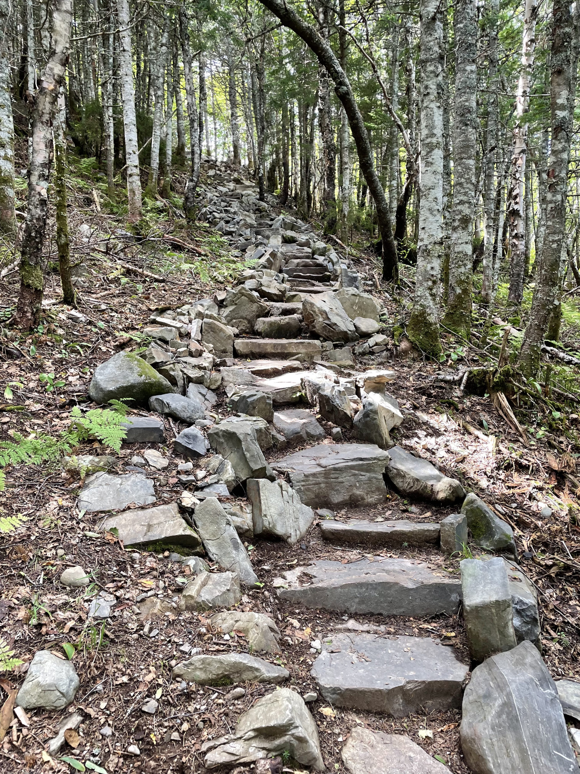 100 Mile Wilderness | Day 3 | ME - She Hikes Mountains