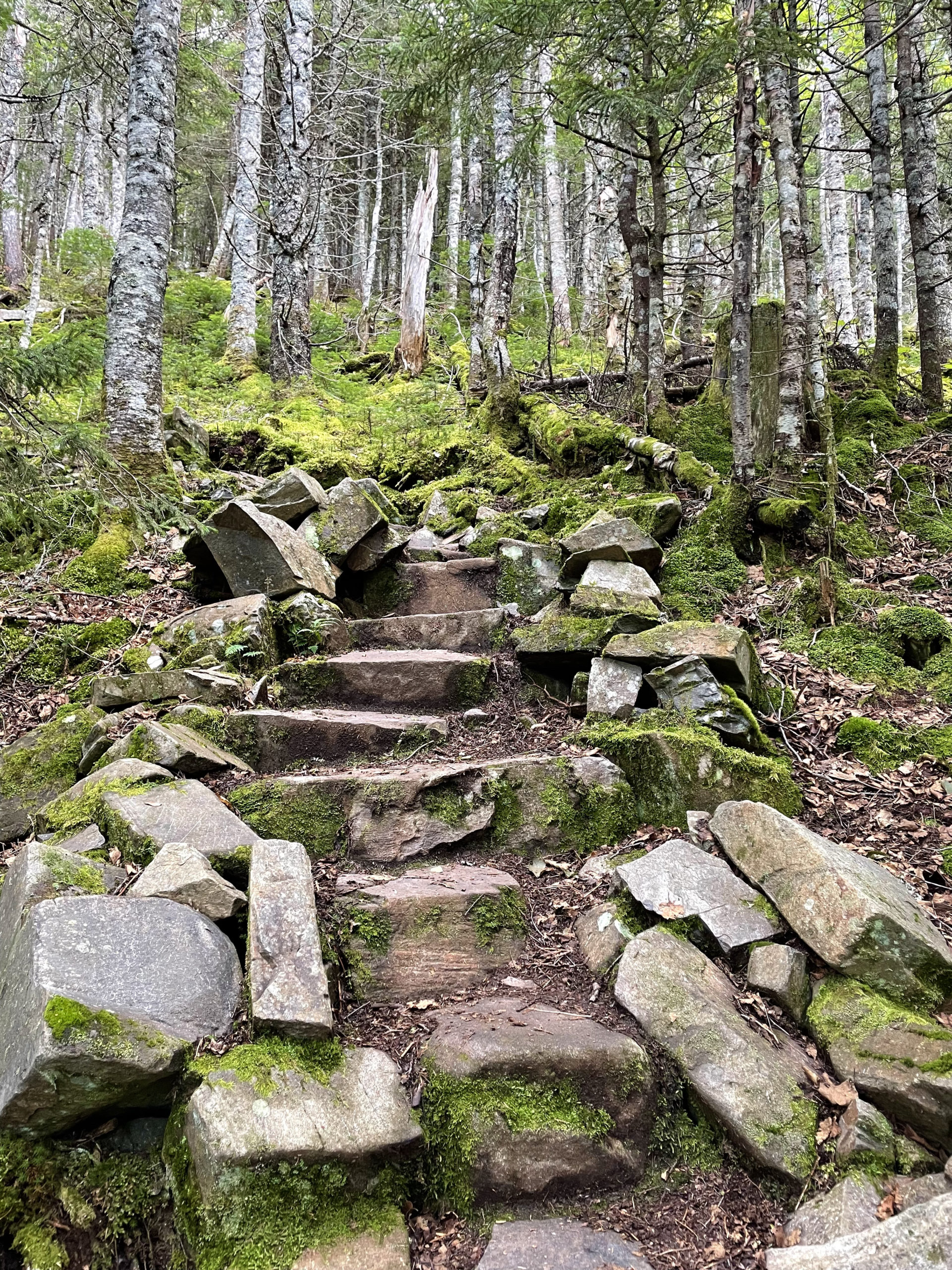 Stone steps, day 3, 100 Mile Wilderness, Maine Appalachian Trail