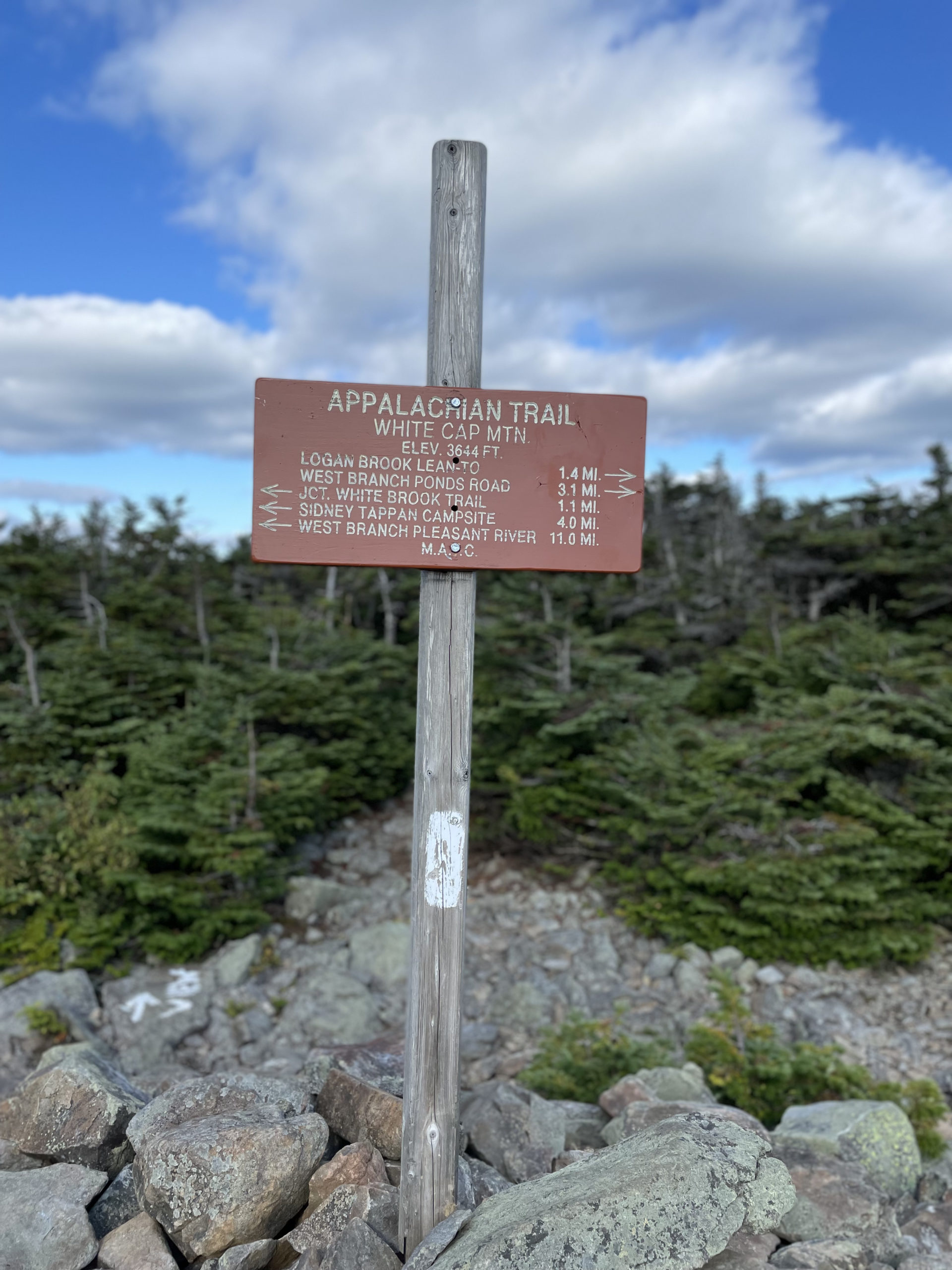 White Cap Mtn summit, day 3, 100 Mile Wilderness, Maine Appalachian Trail