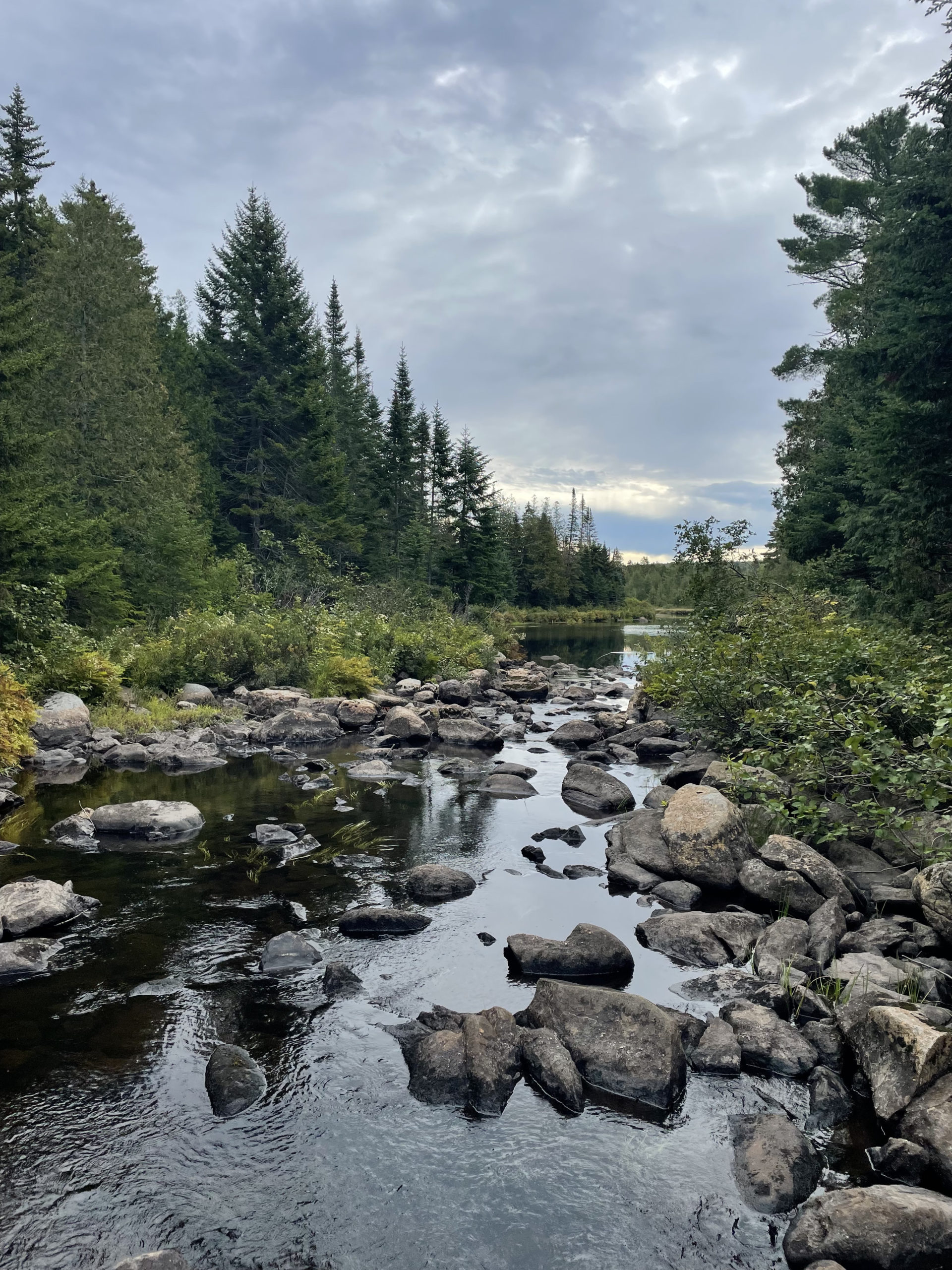 A pond outlet, day 4, 100 Mile Wilderness, Maine Appalachian Trail