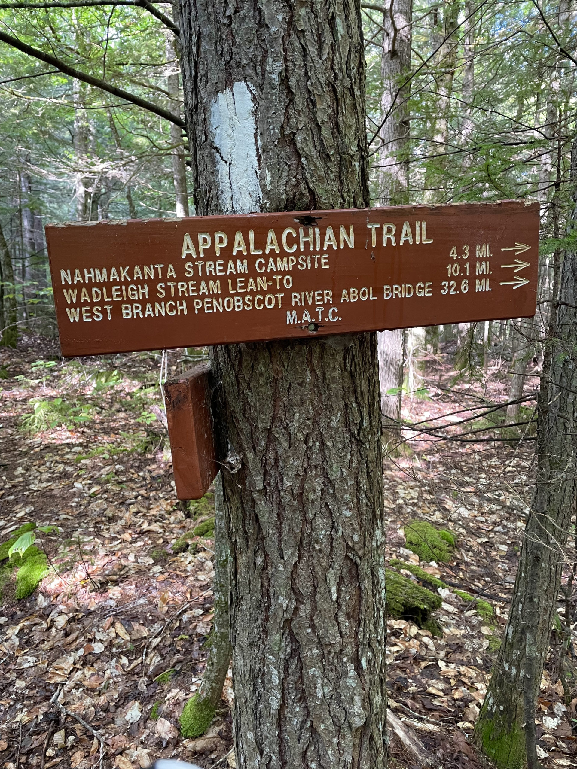 32.6 miles to go, day 5, 100 Mile Wilderness, Maine Appalachian Trail