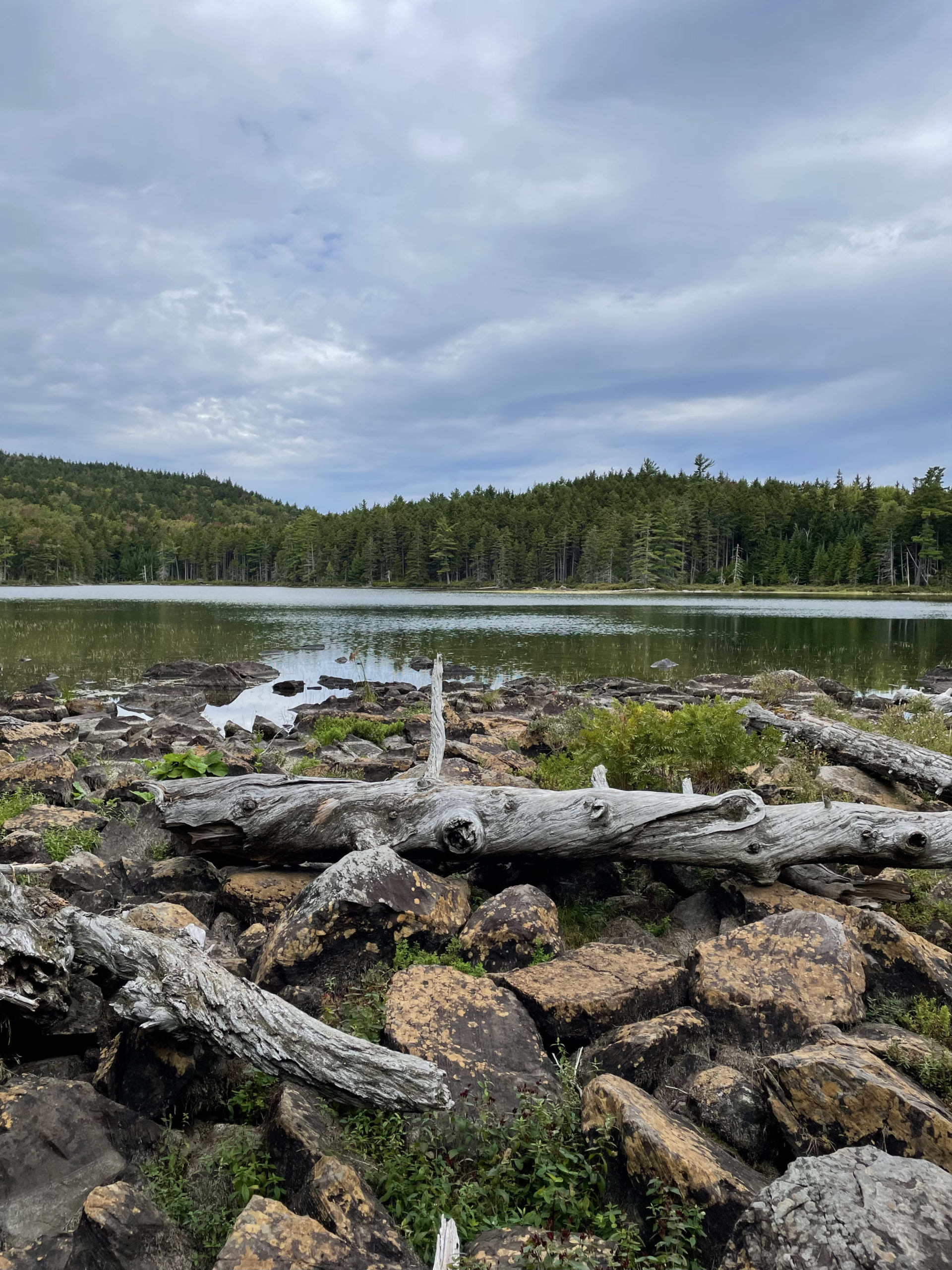 Quiet pond, day 4, 100 Mile Wilderness, Maine Appalachian Trail