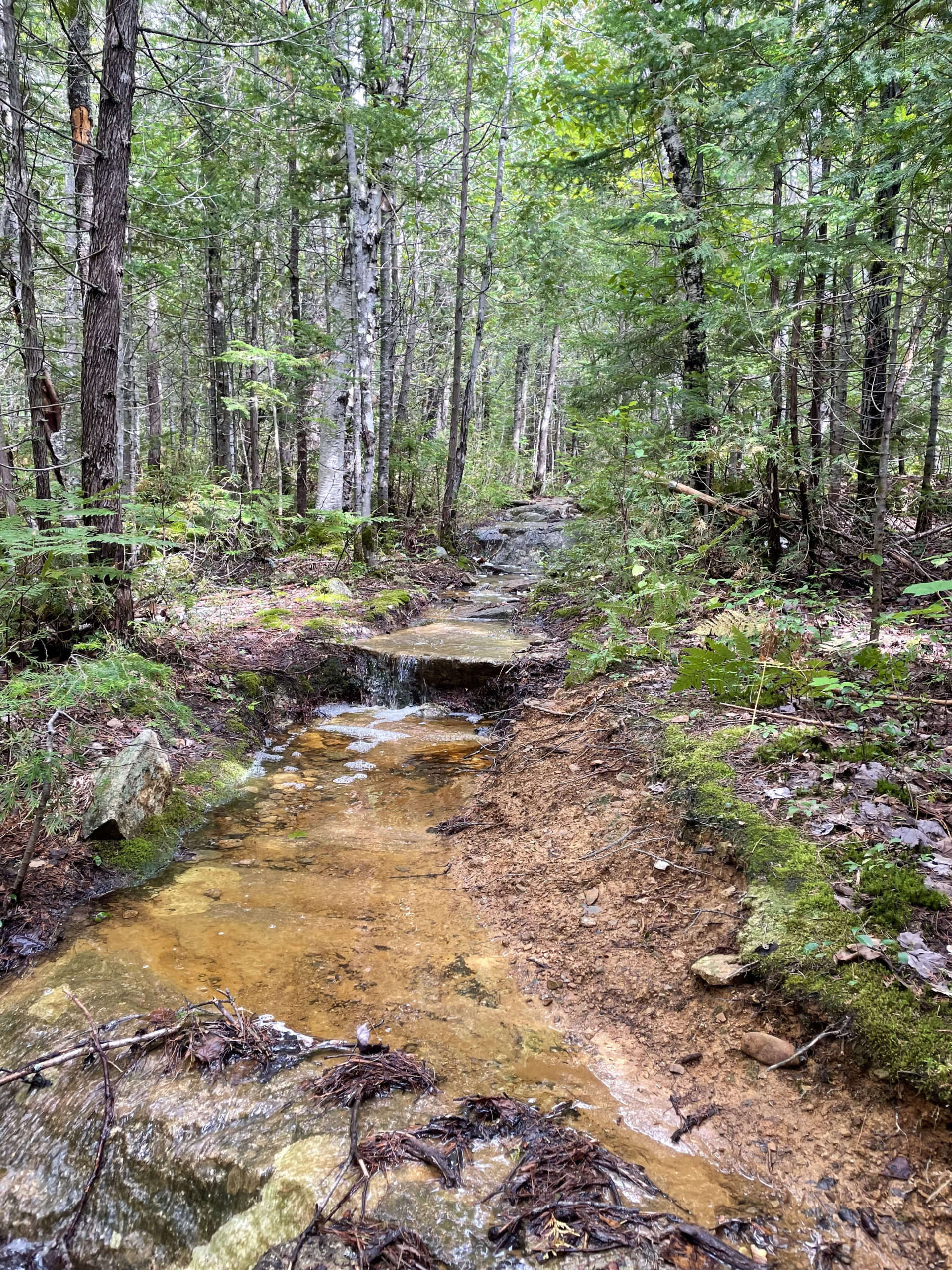 Stream bed hiking, day 6, 100 Mile Wilderness, Maine Appalachian Trail