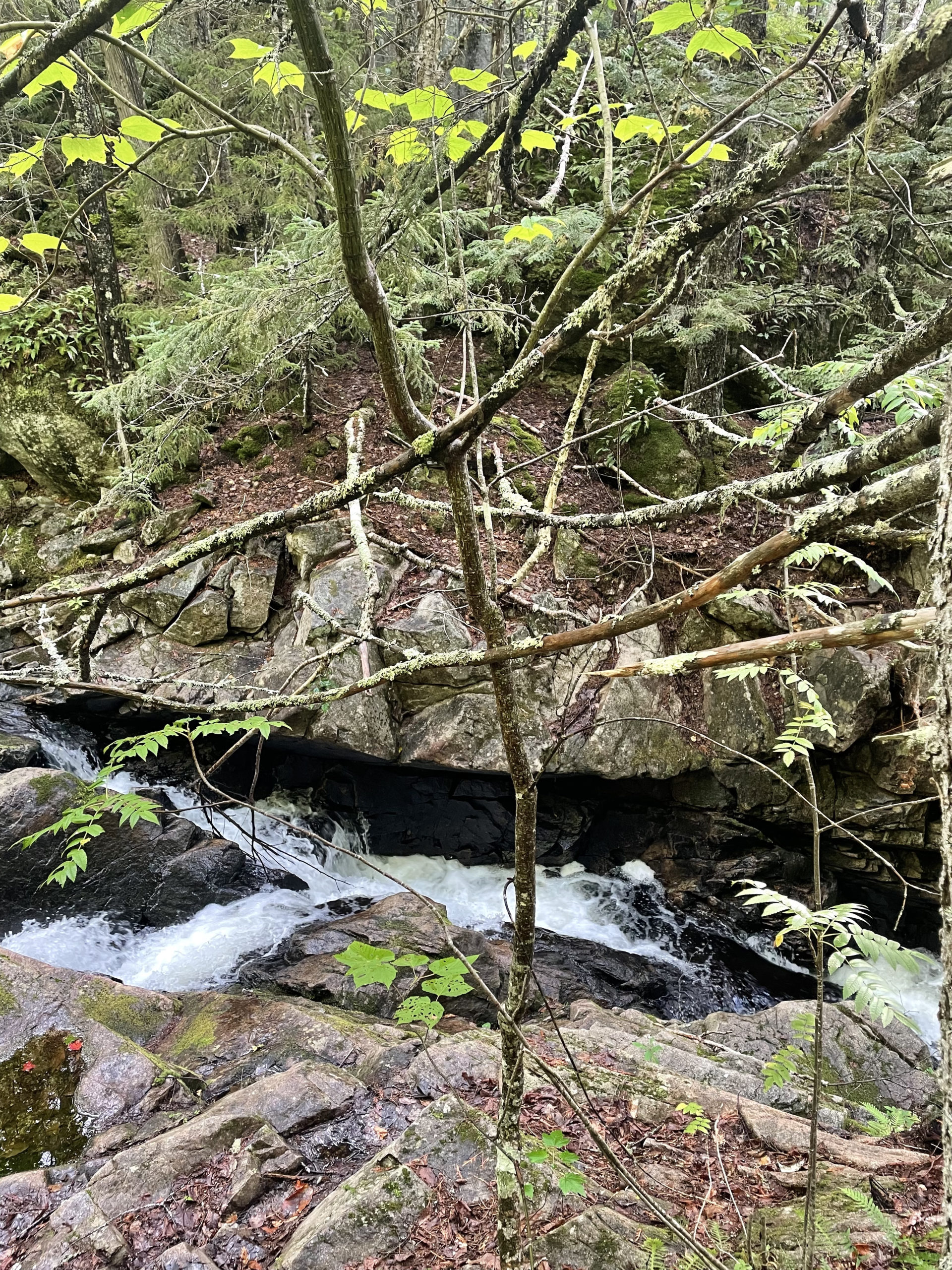 Cascade, day 6, 100 Mile Wilderness, Maine Appalachian Trail