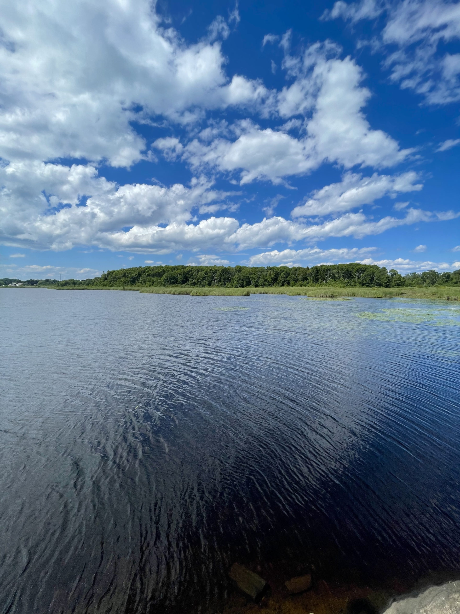 Great Pond Cape Elizabeth ME She Hikes Mountains