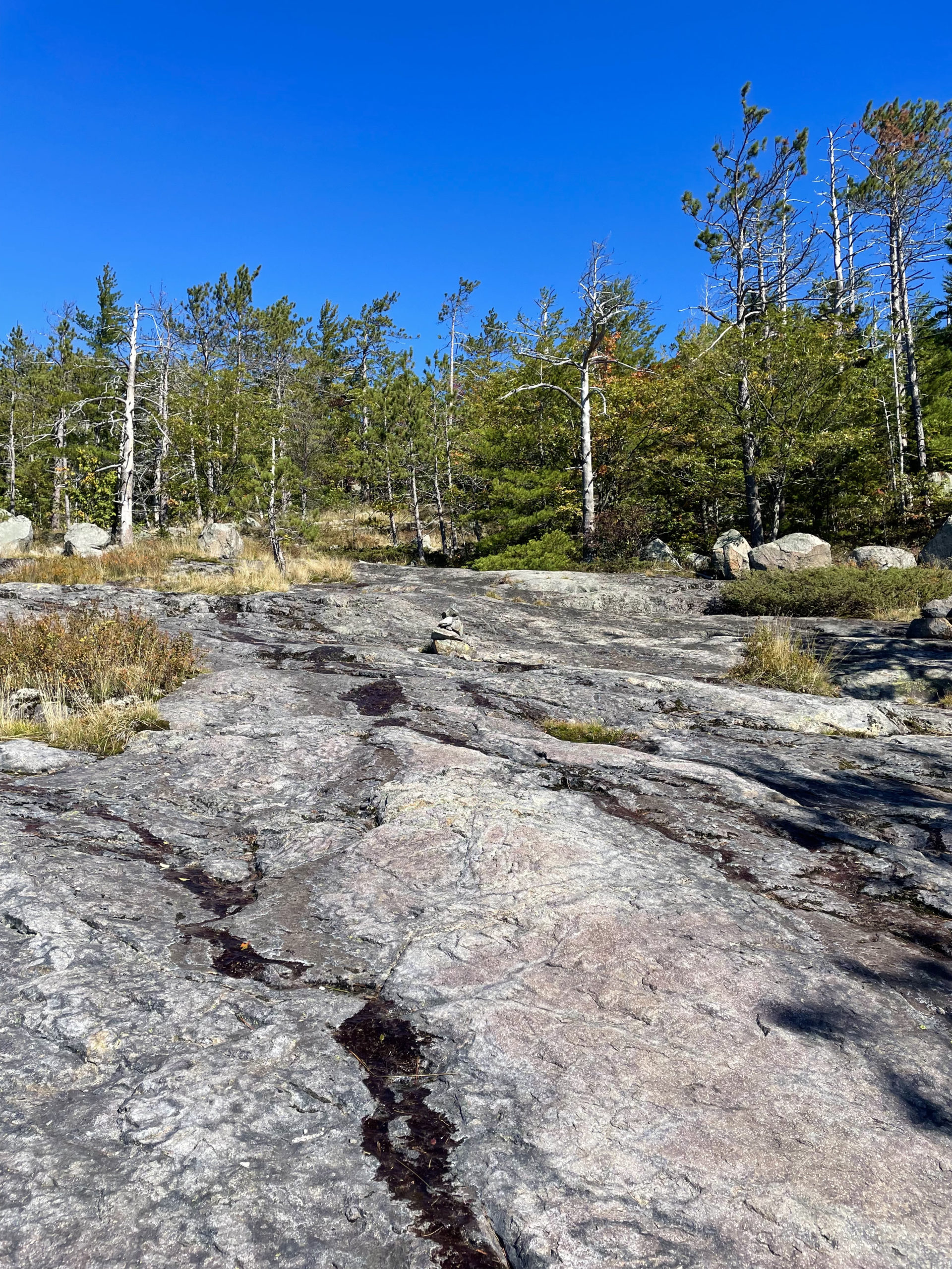 View while hiking South, Middle, and North Moat Mountains in the White Mountain National Forest, New Hampshire