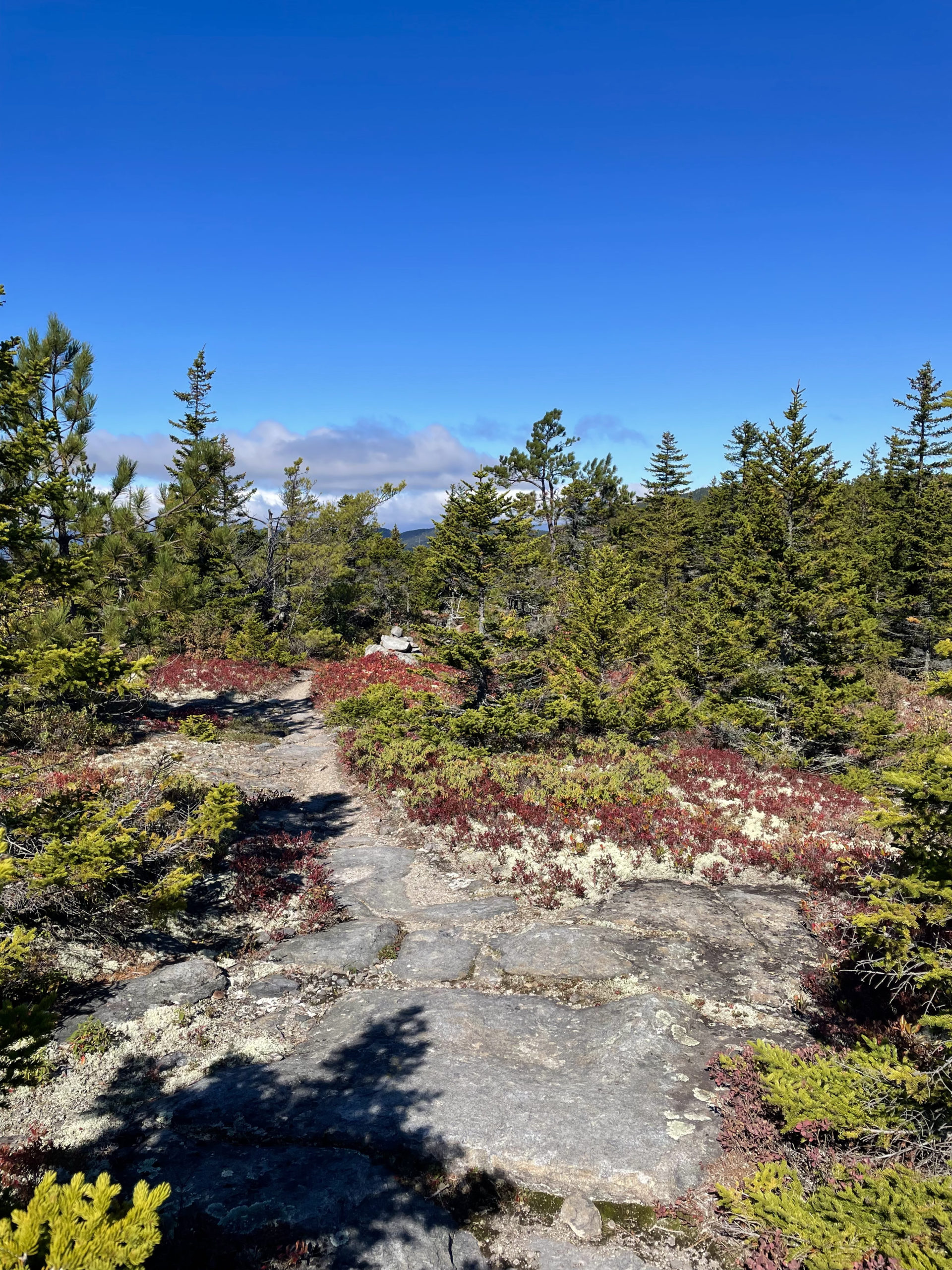 View while hiking South, Middle, and North Moat Mountains in the White Mountain National Forest, New Hampshire