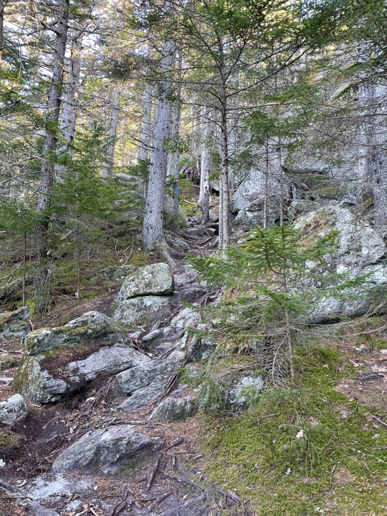 Rocks and roots on the trail from Bald Mtn to Speckled Mtn in Woodstock, Maine