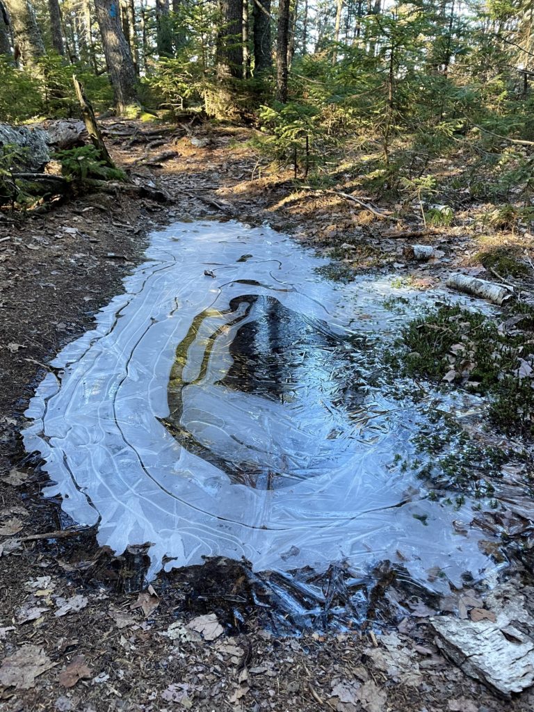 An icy puddle, seen while hiking Bald and Speckled Mtns in Woodstock, Maine