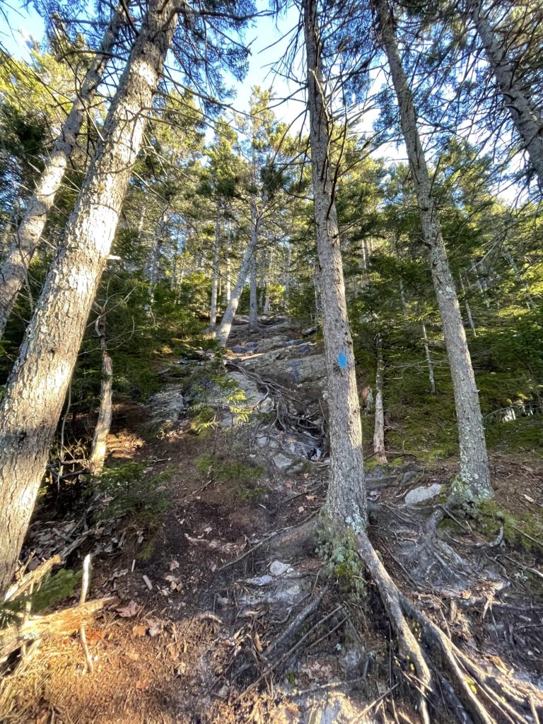 Steep trail heading to the summit of Speckled Mtn in Woodstock, Maine
