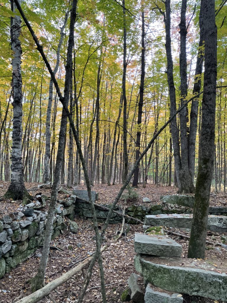 Ruins of an old stone foundation and homestead at Mt. Tom Preserve, Fryeburg, Maine