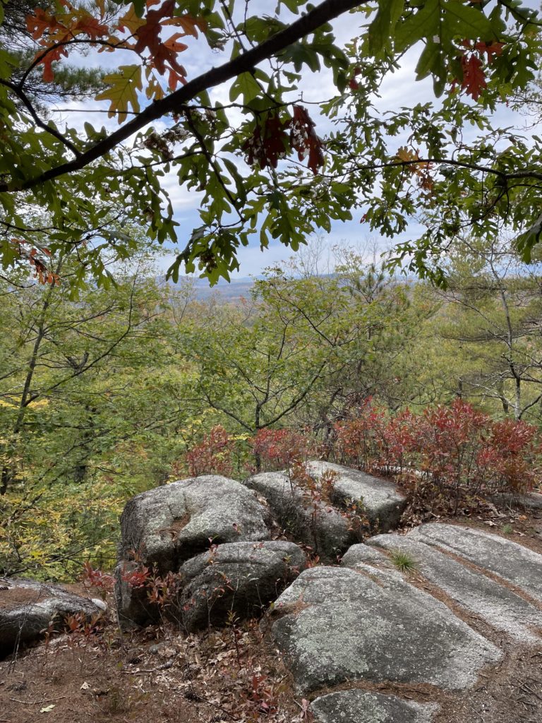 A peek of a view, seen on Mount Tom Trail, Mt. Tom, Fryeburg, Maine