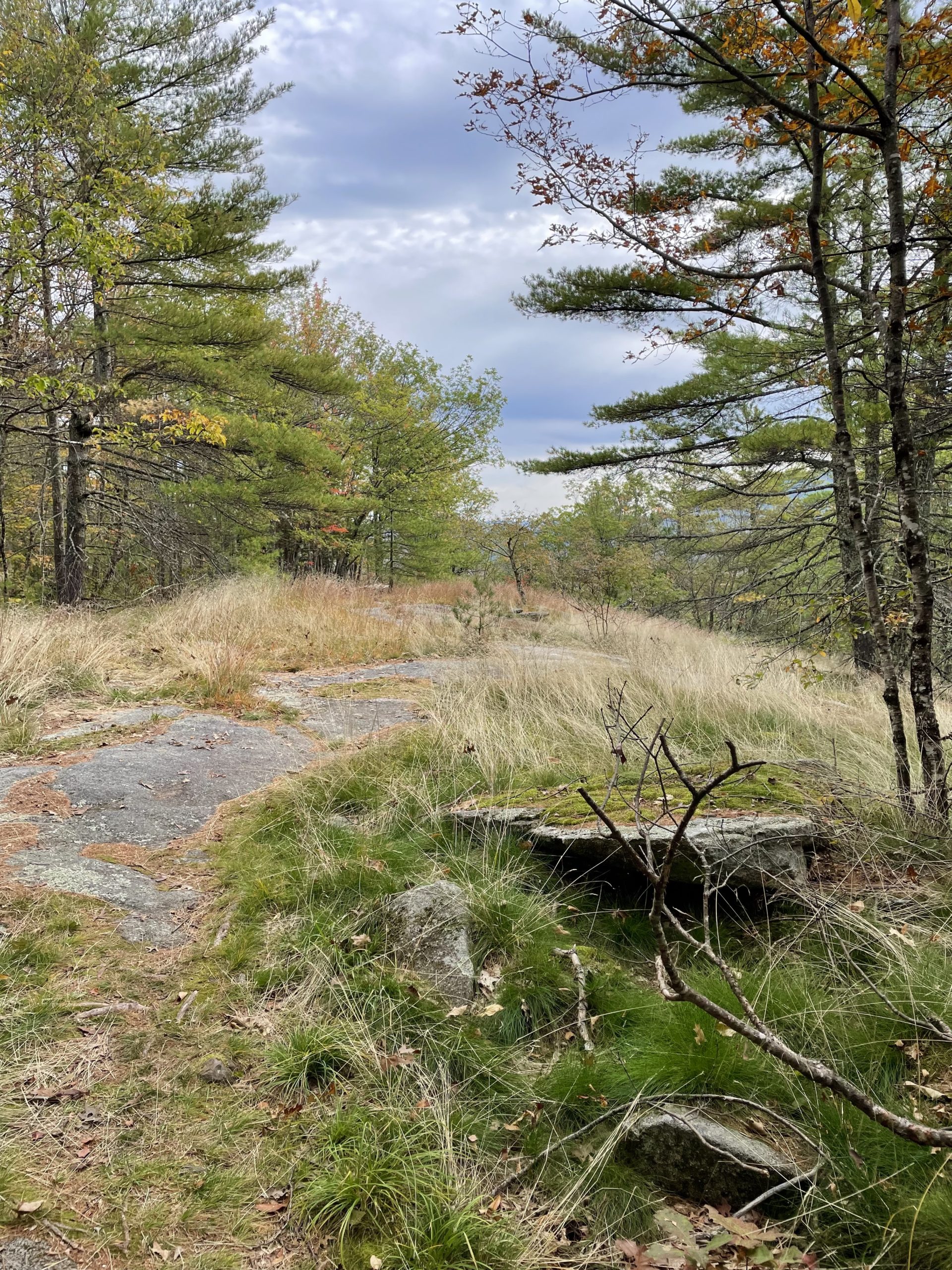 Mt. Tom 1073 ft ME She Hikes Mountains