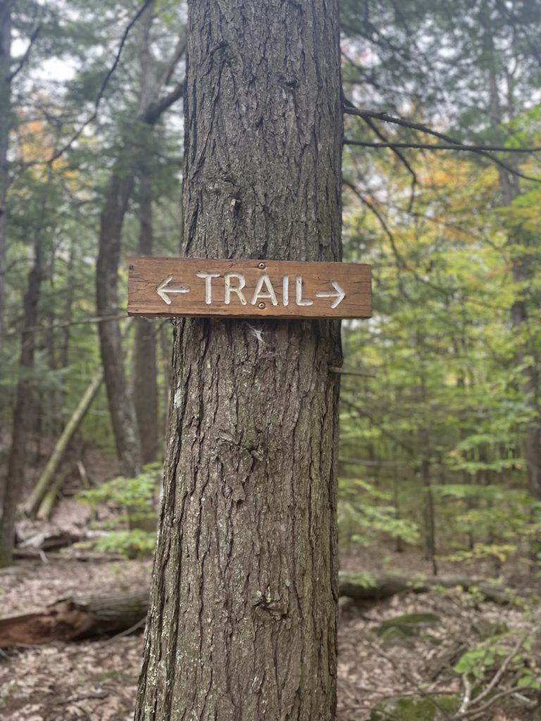Trail sign, seen on Mount Tom Trail, Mt. Tom, Fryeburg, Maine
