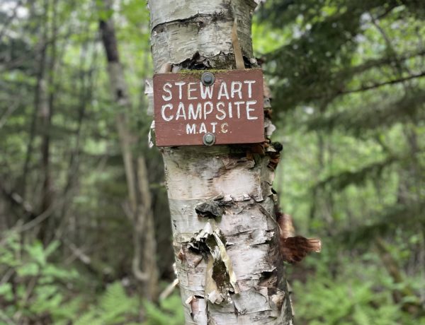 Stewart tentsite sign, Grafton Loop trail, Grafton Notch State Park, Maine